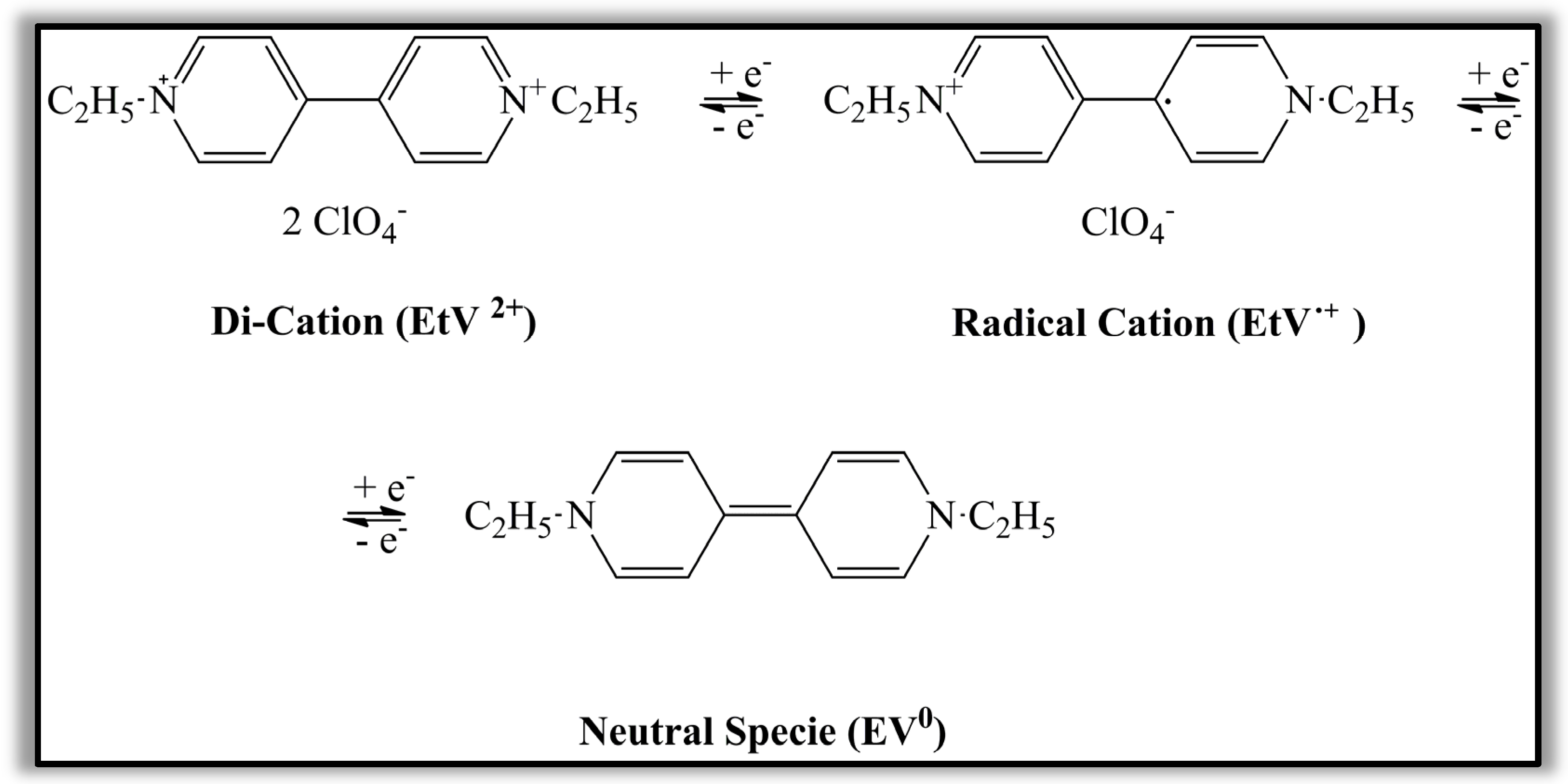 Polymers 15 03347 g002