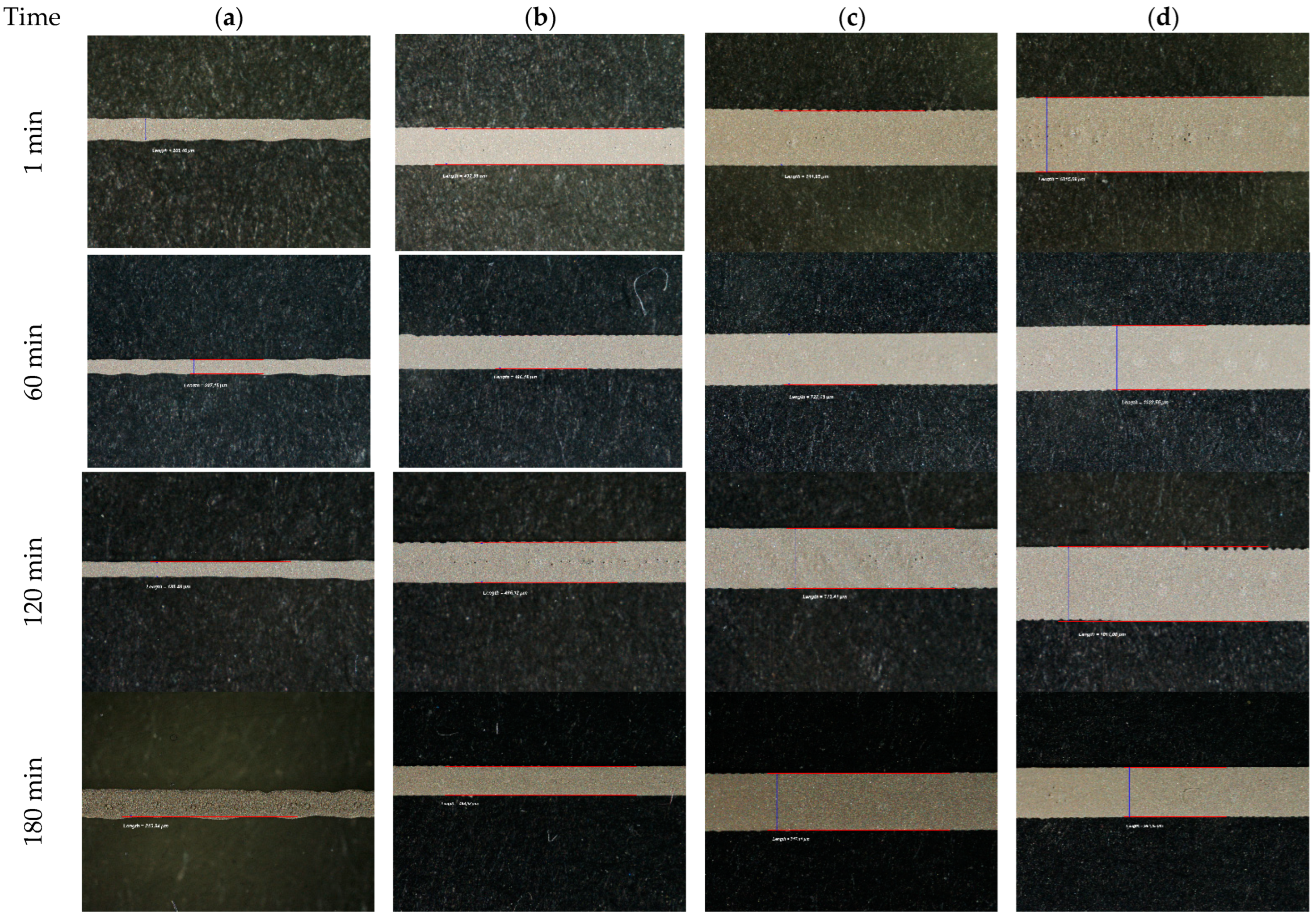 Polymers 15 03348 g008a