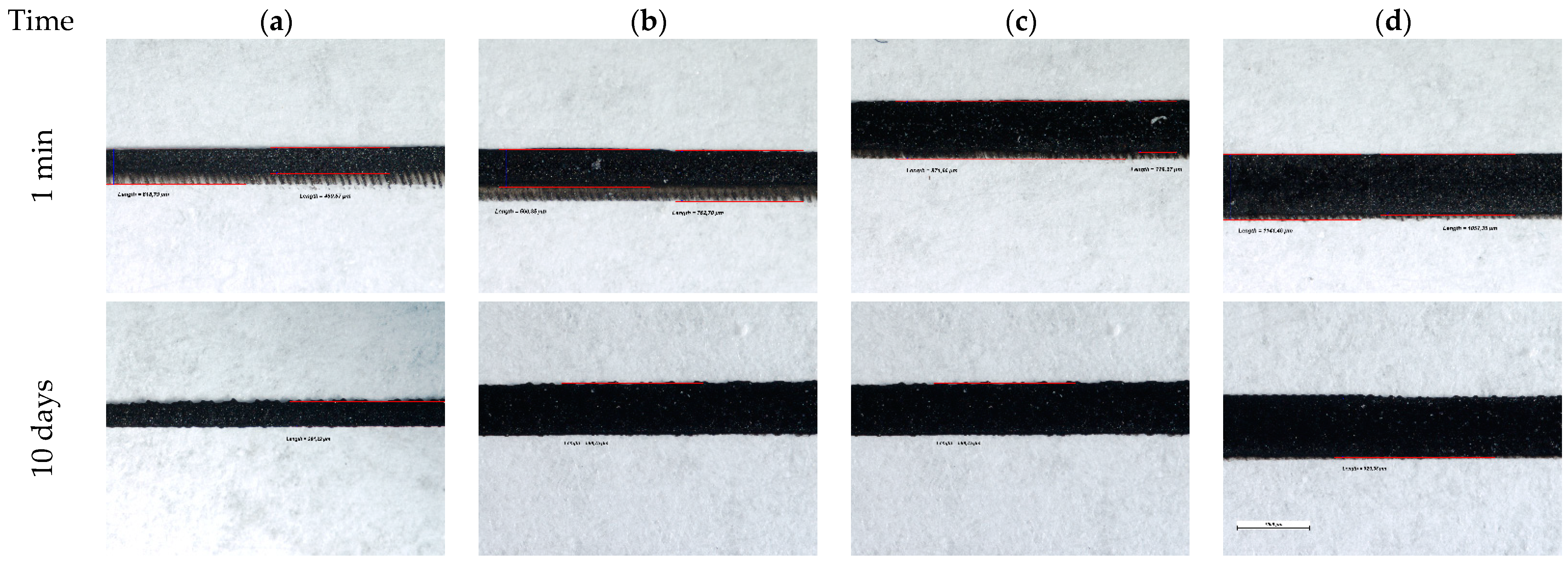 Polymers 15 03348 g009