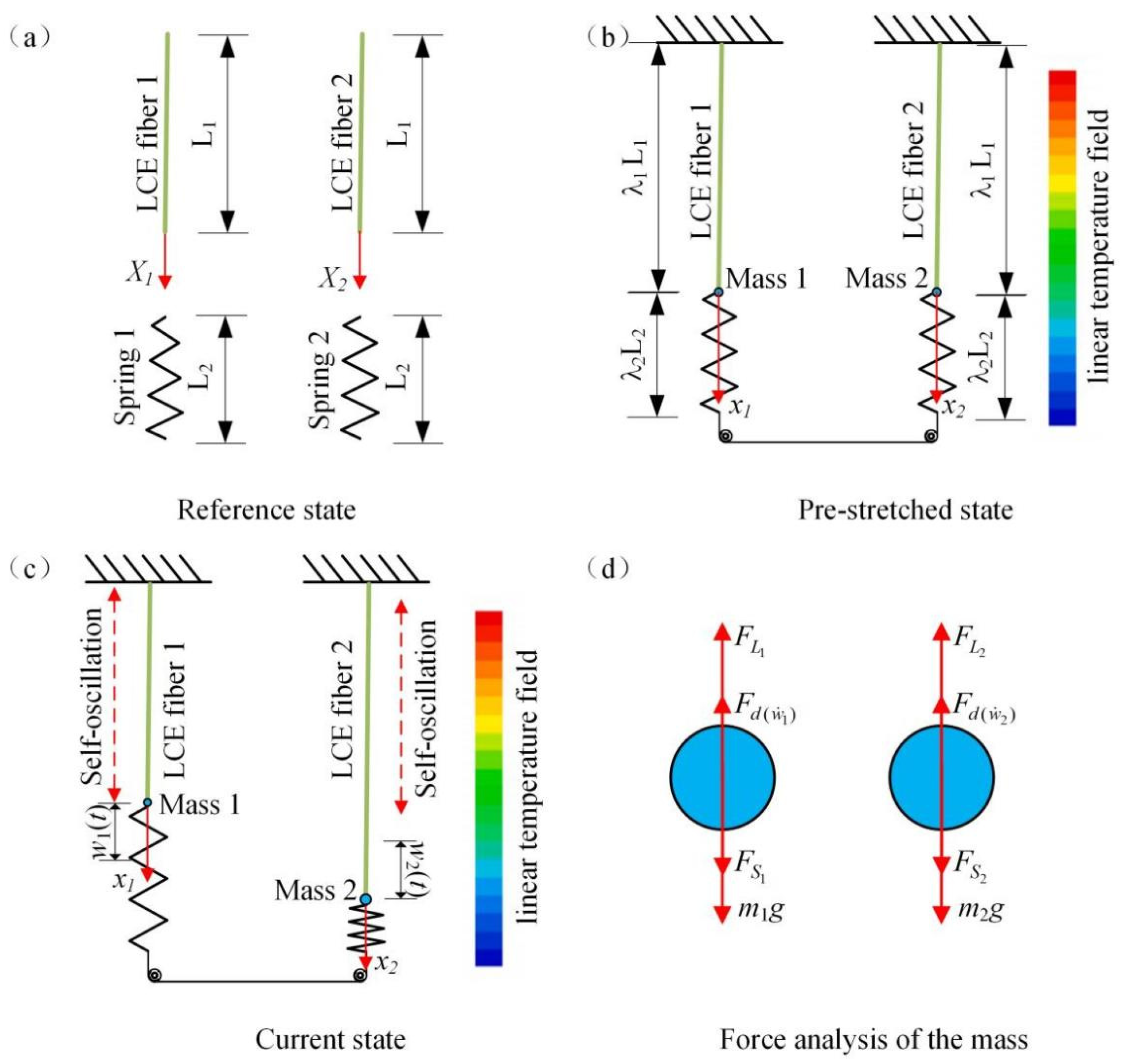 Polymers 15 03349 g001