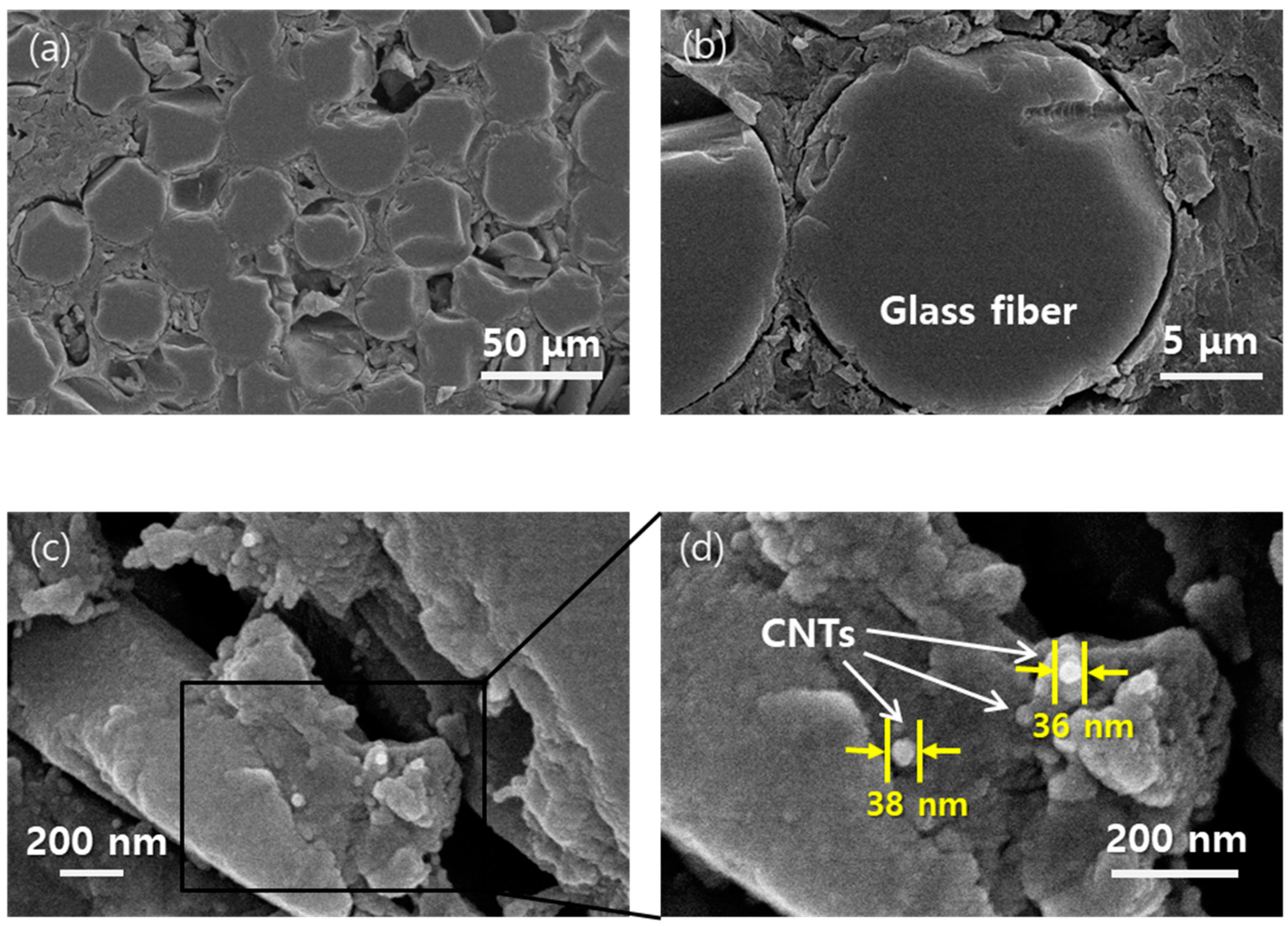 Polymers 15 03353 g006 Polymers 15 03353 g006