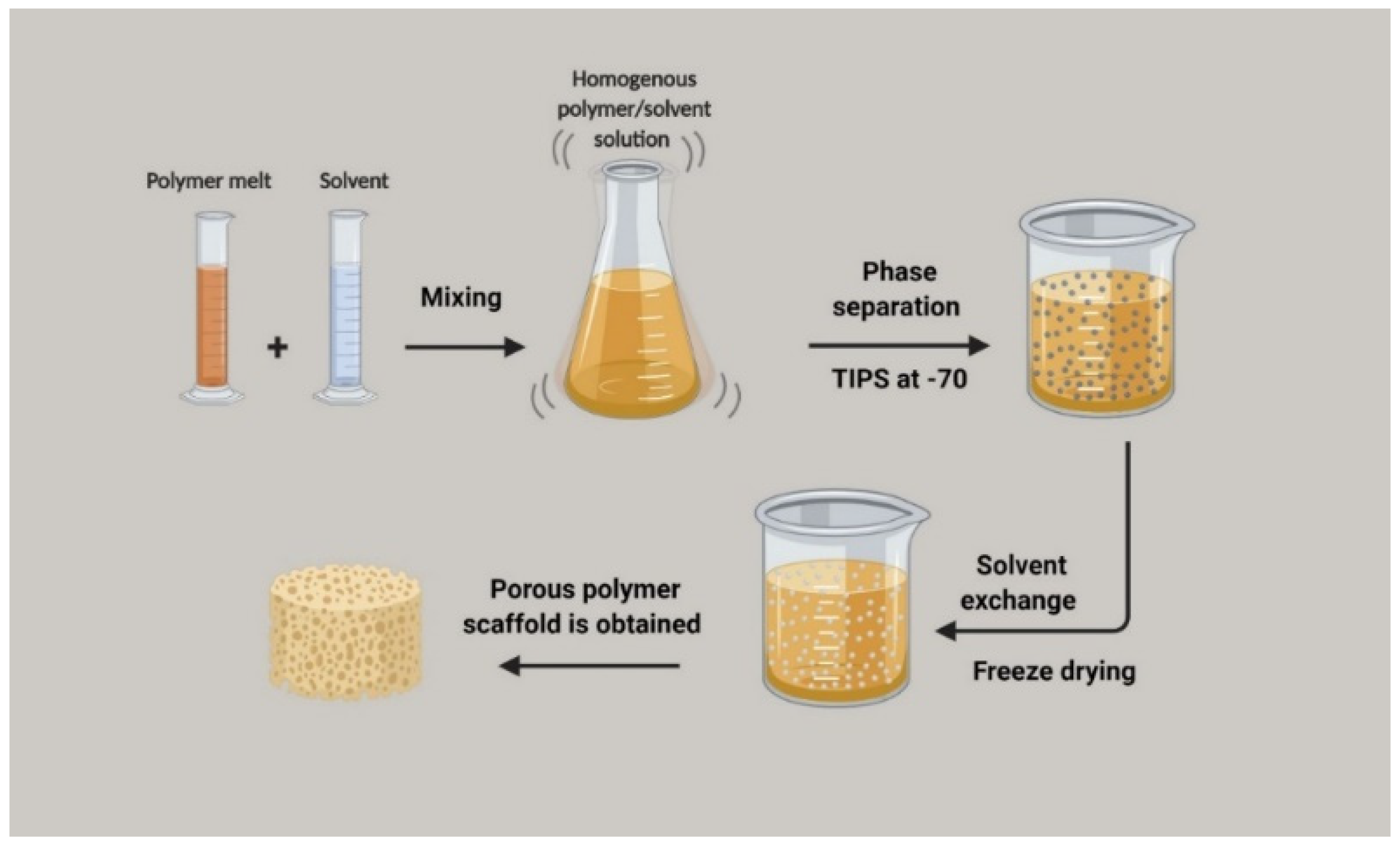 Polymers 15 03355 g006