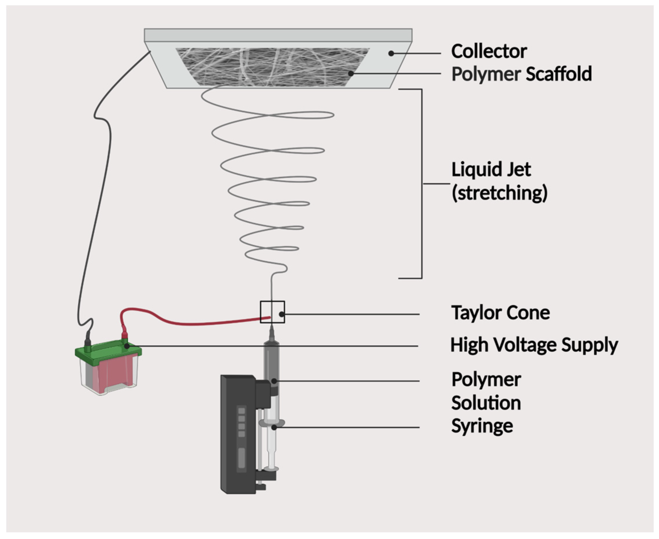 Polymers 15 03355 g010