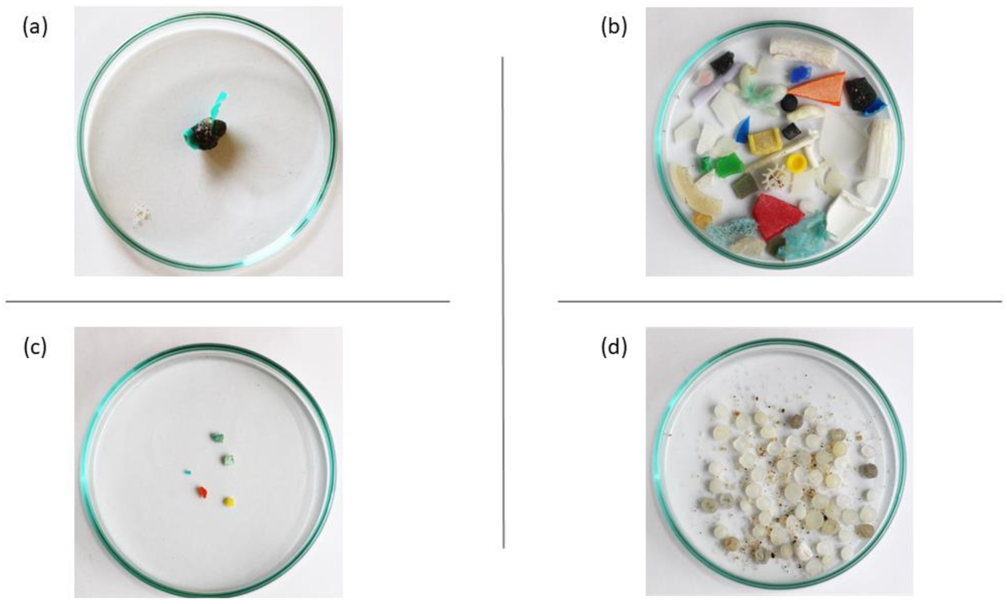 Polymers 15 03356 g001 Polymers 15 03356 g001