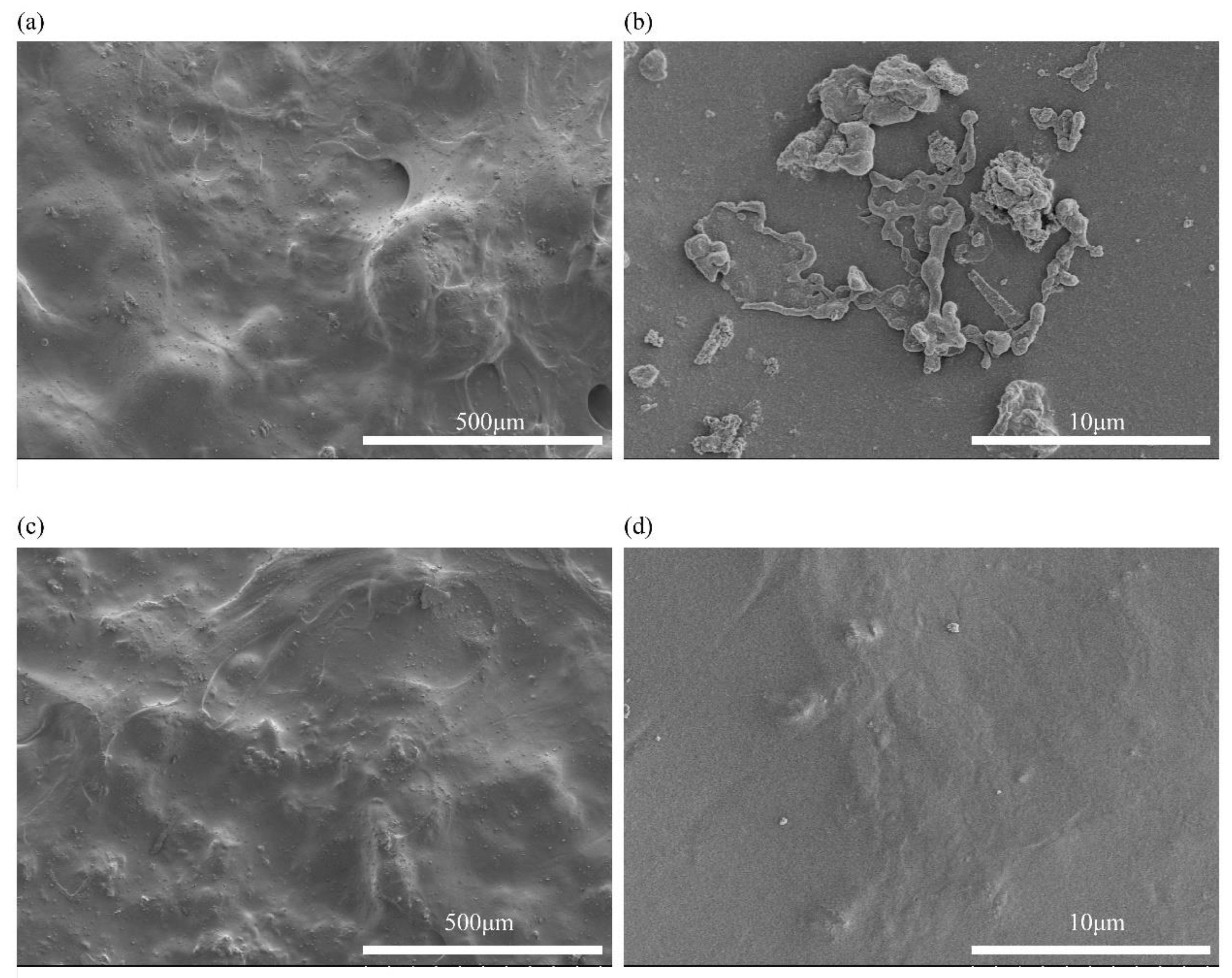 Polymers 15 03357 g006 Polymers 15 03357 g006