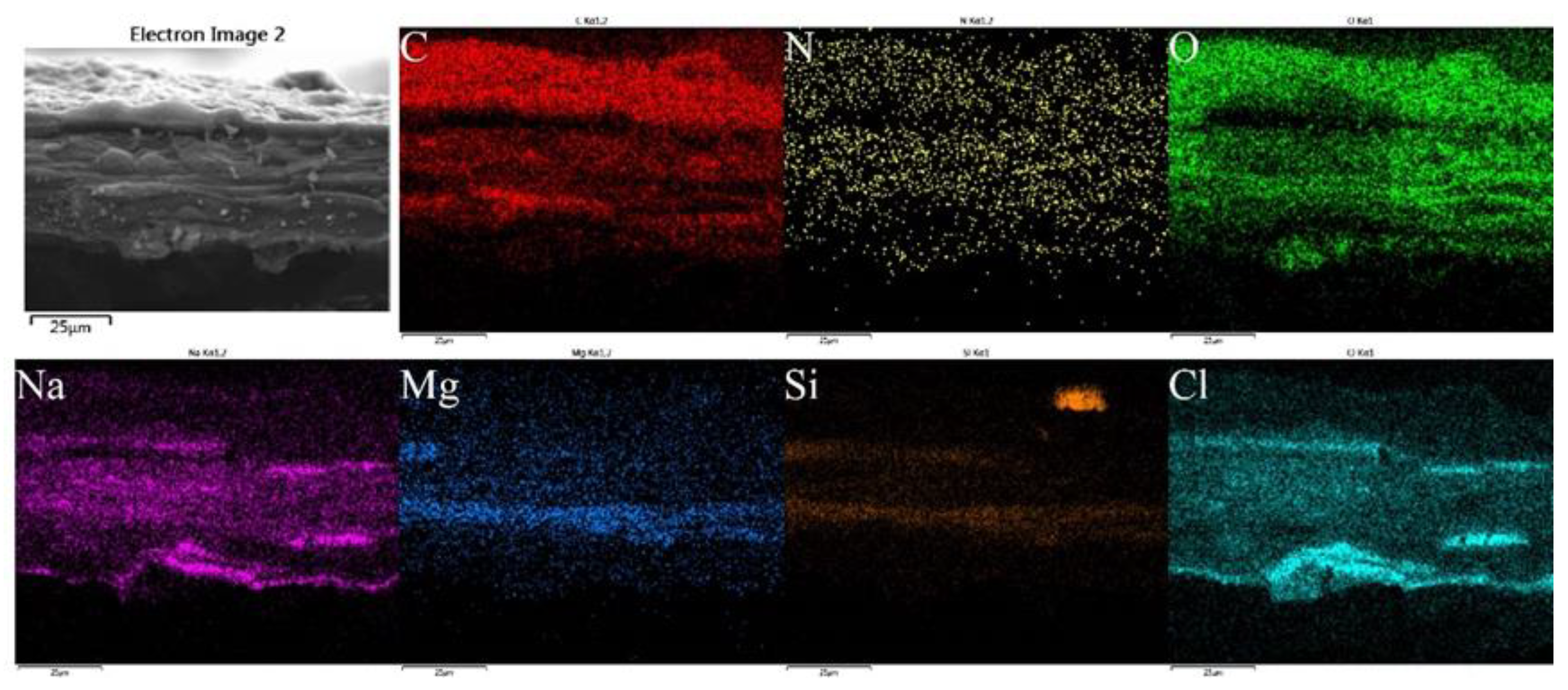 Polymers 15 03357 g009 Polymers 15 03357 g009