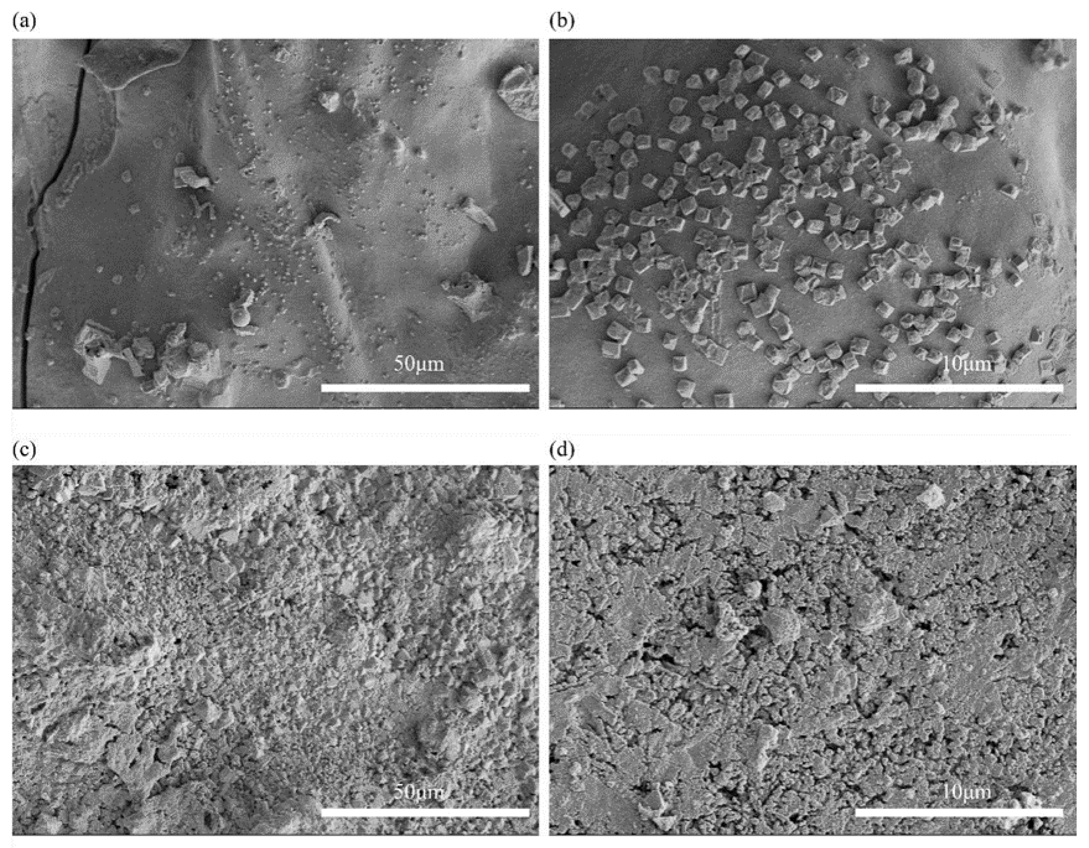 Polymers 15 03357 g013 Polymers 15 03357 g013