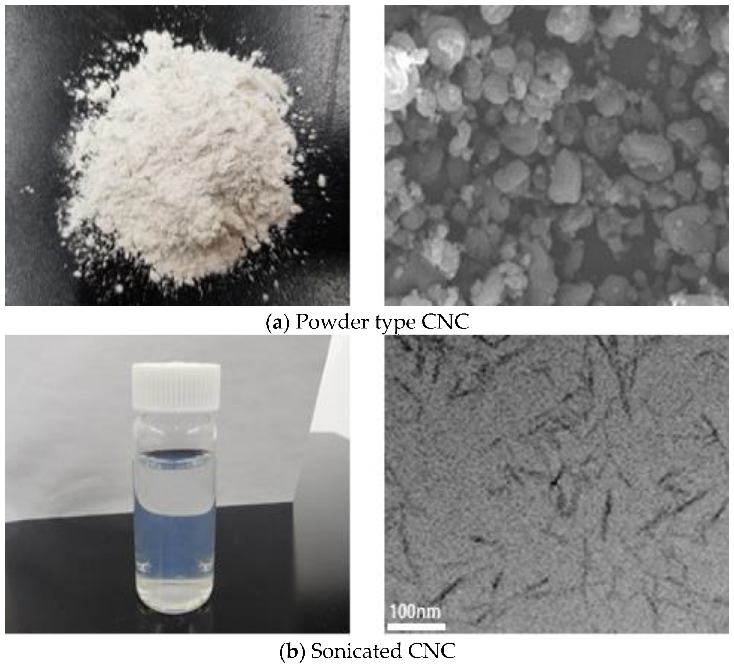 Polymers 15 03358 g002 Polymers 15 03358 g002