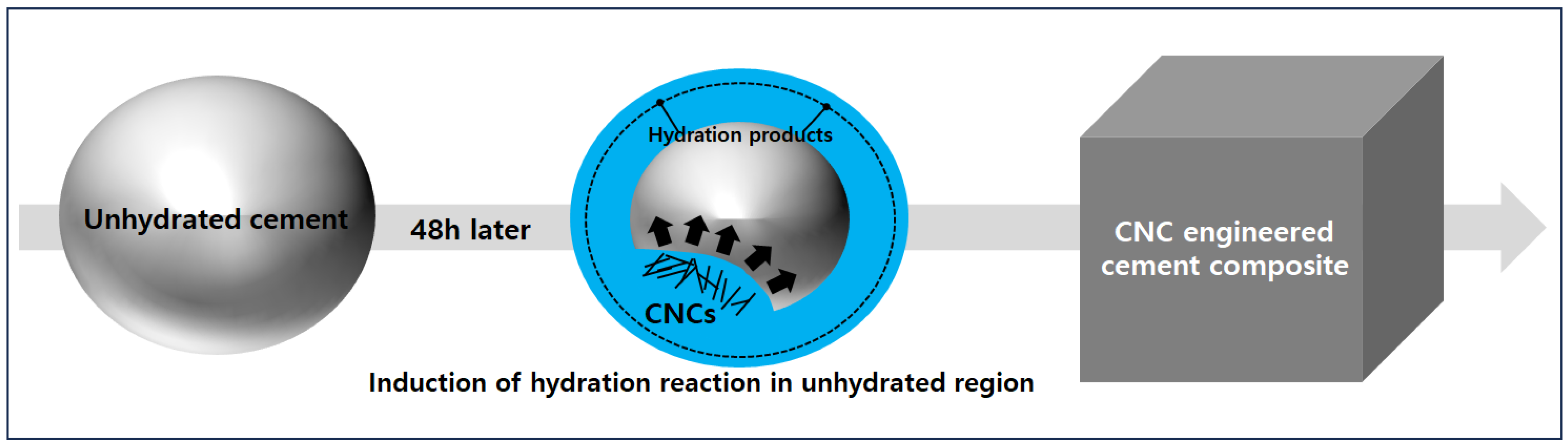 Polymers 15 03358 g005 Polymers 15 03358 g005
