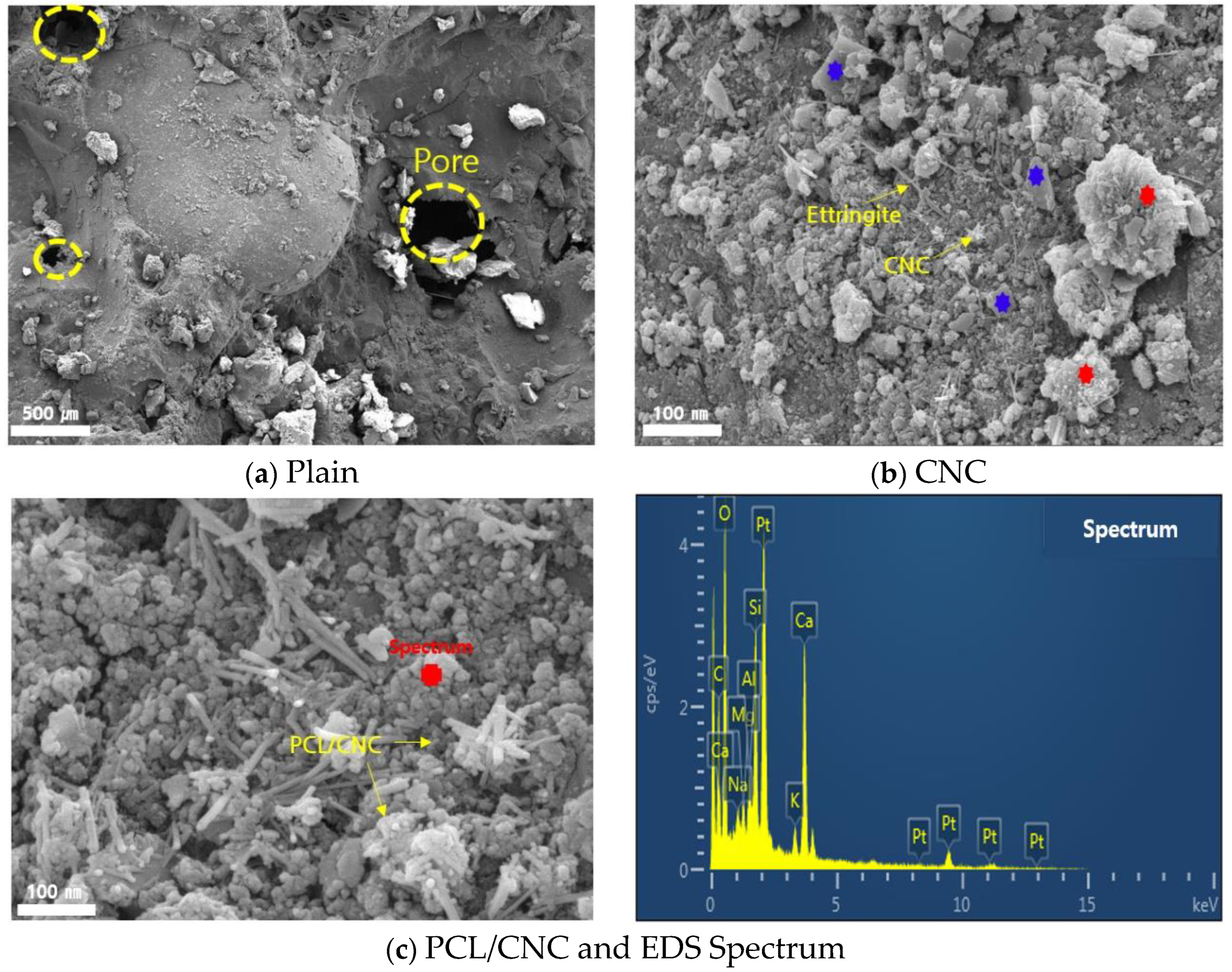 Polymers 15 03358 g009 Polymers 15 03358 g009