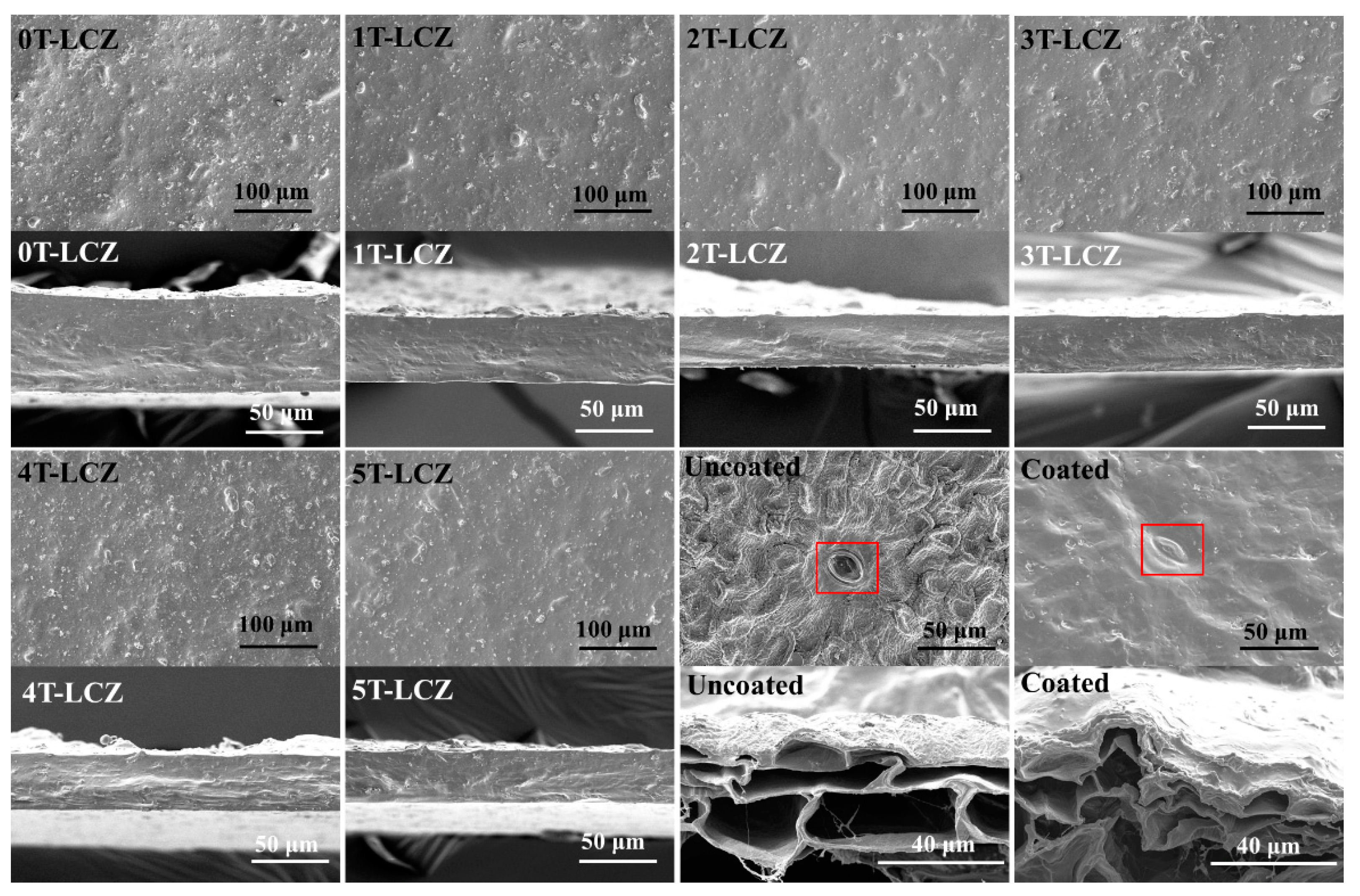 Polymers 15 03364 g006