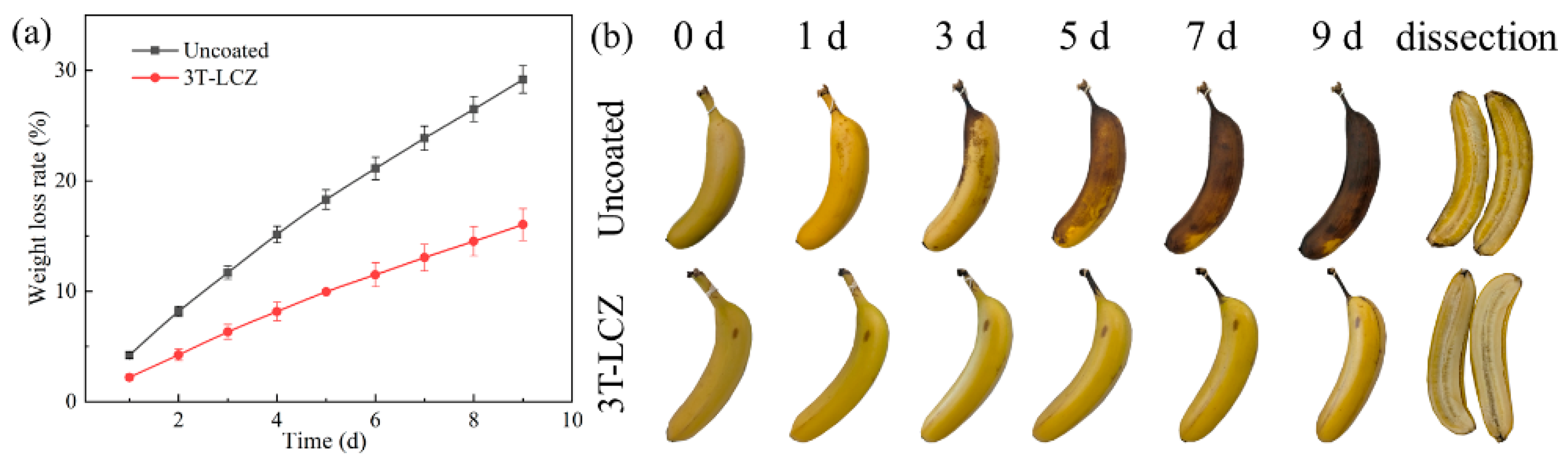 Polymers 15 03364 g007