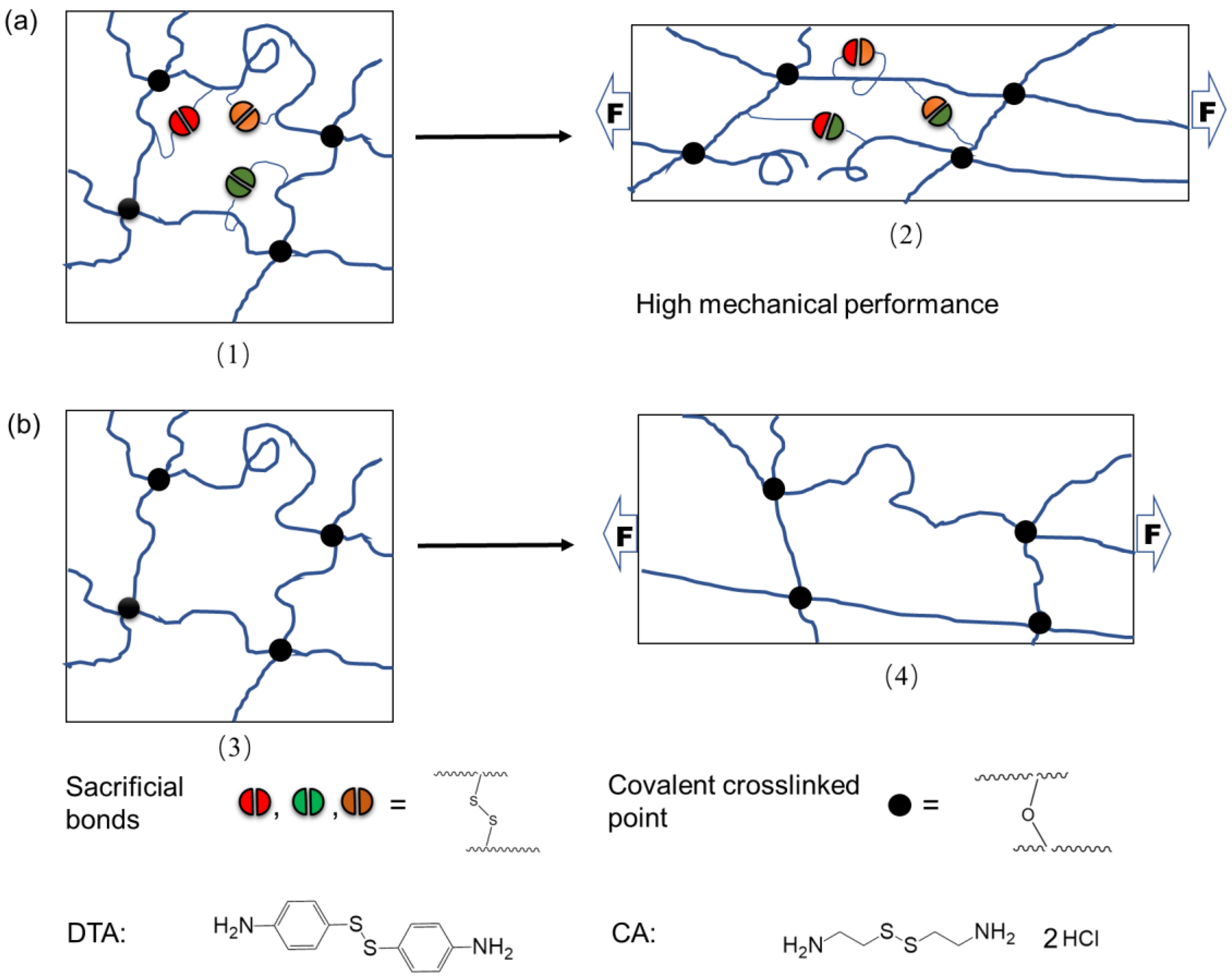 Polymers 15 03367 sch001 Polymers 15 03367 sch001