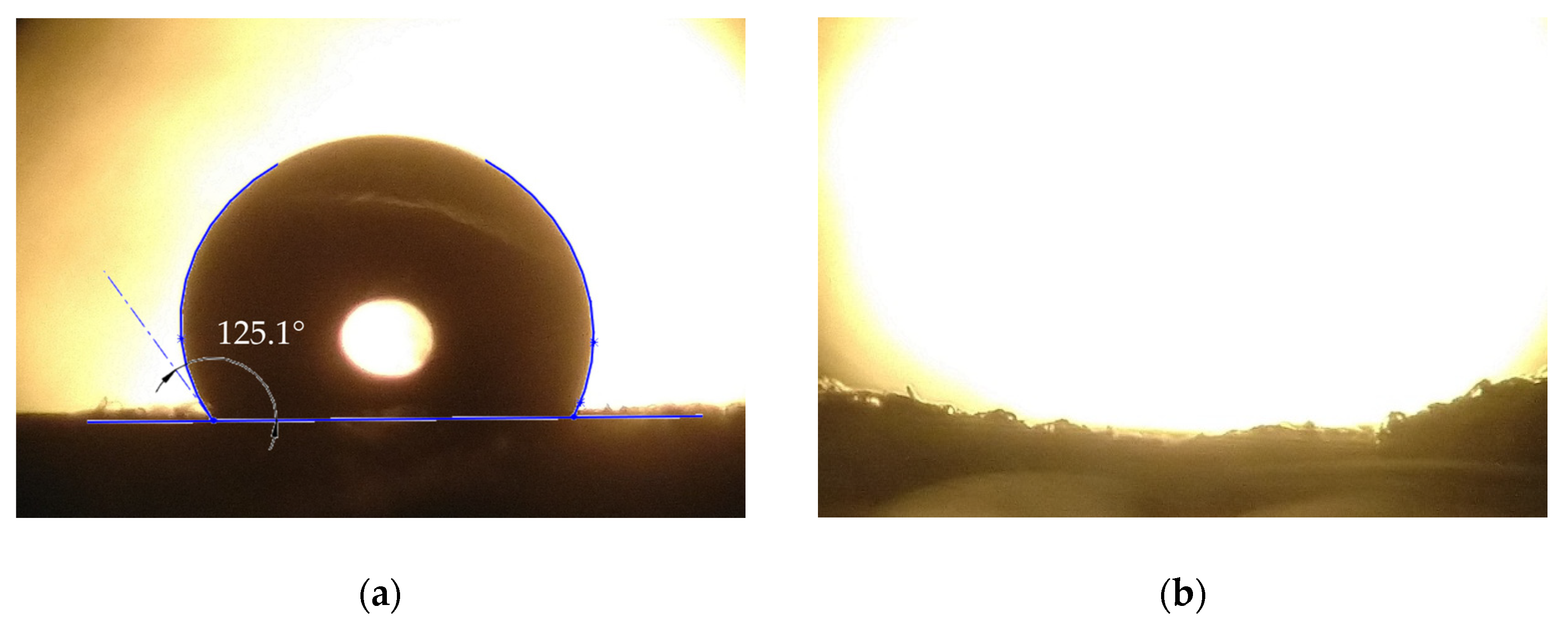 Polymers 15 03368 g009 Polymers 15 03368 g009