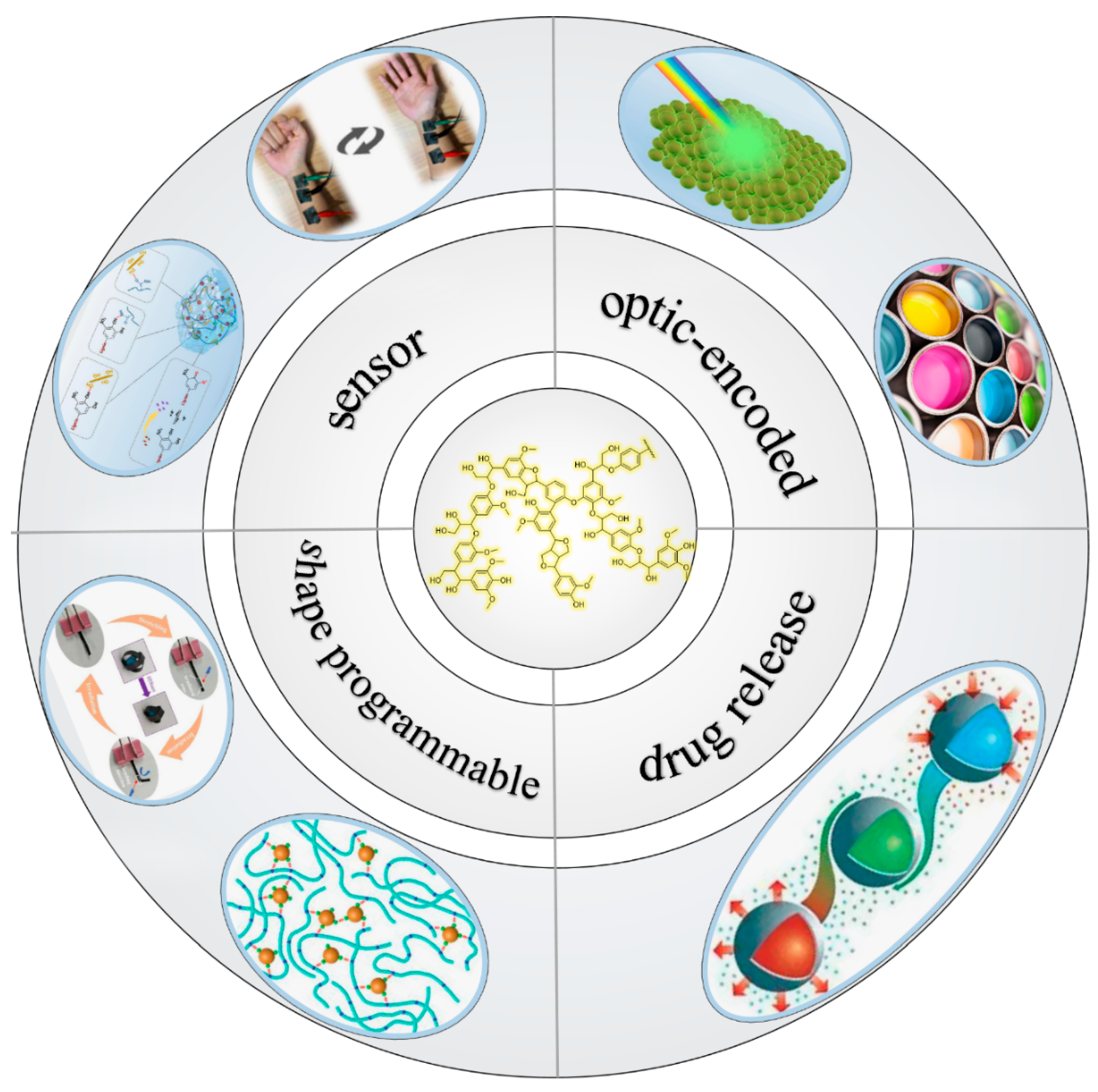 Polymers 15 03372 g001