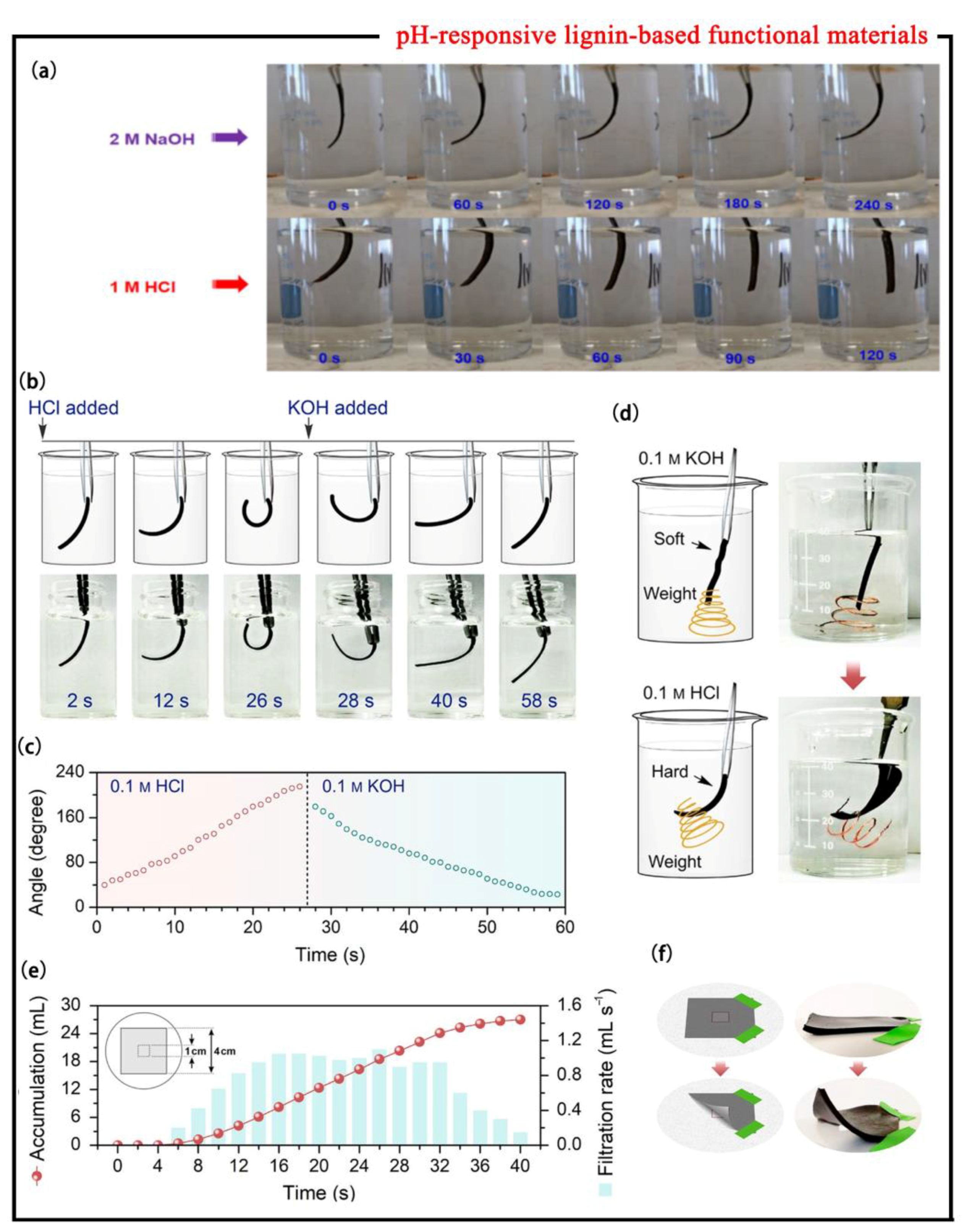 Polymers 15 03372 g004