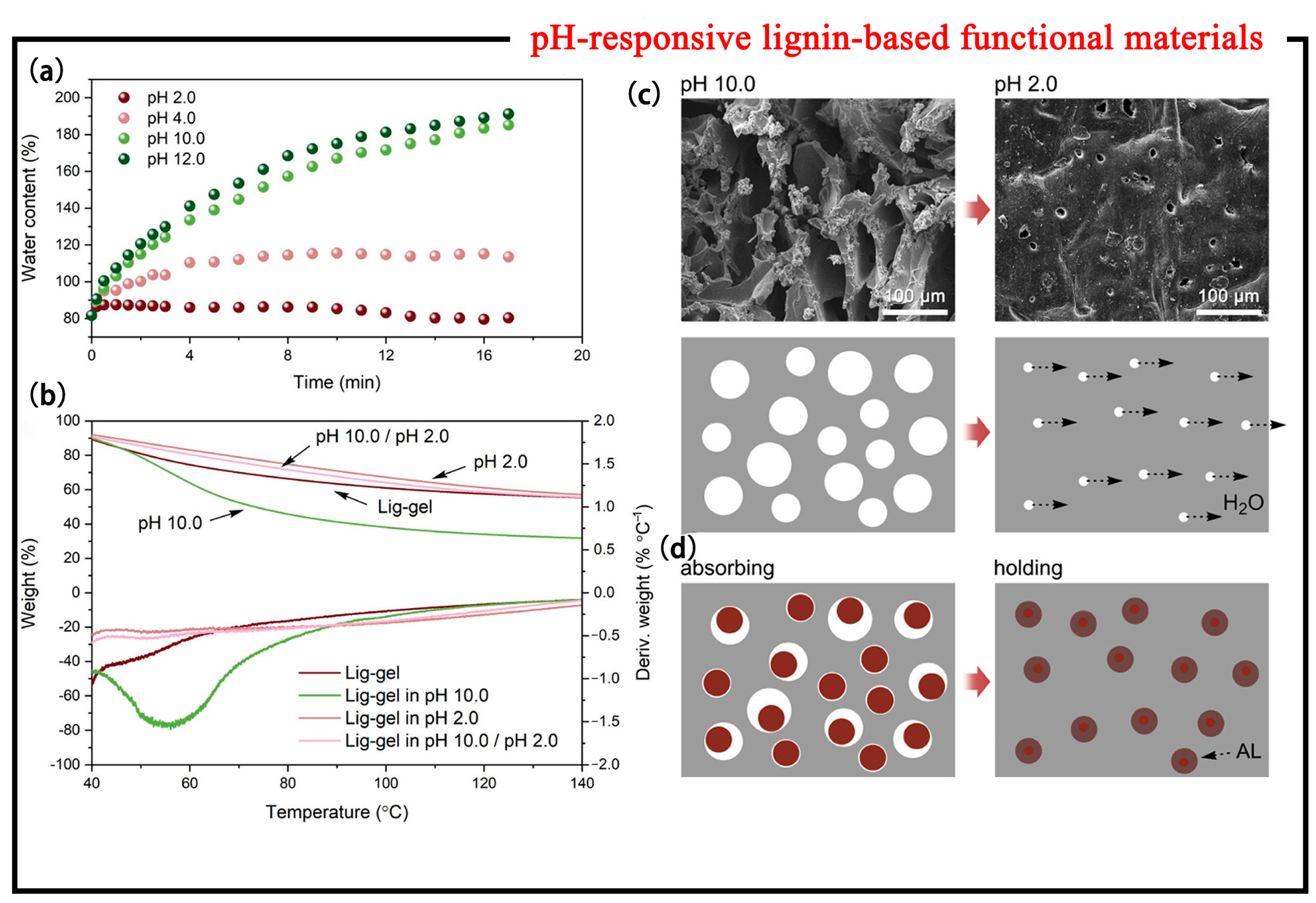 Polymers 15 03372 g005
