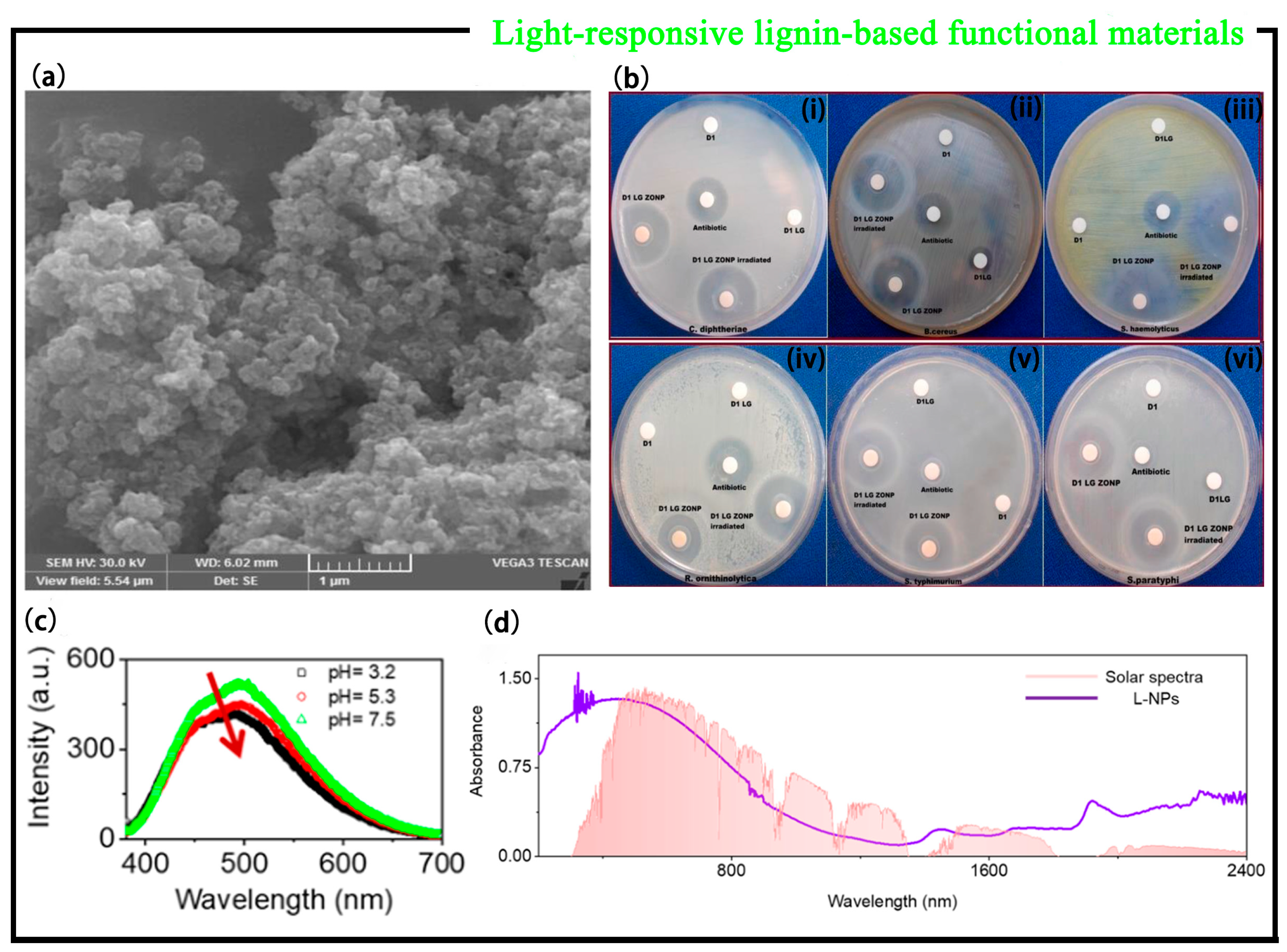 Polymers 15 03372 g006