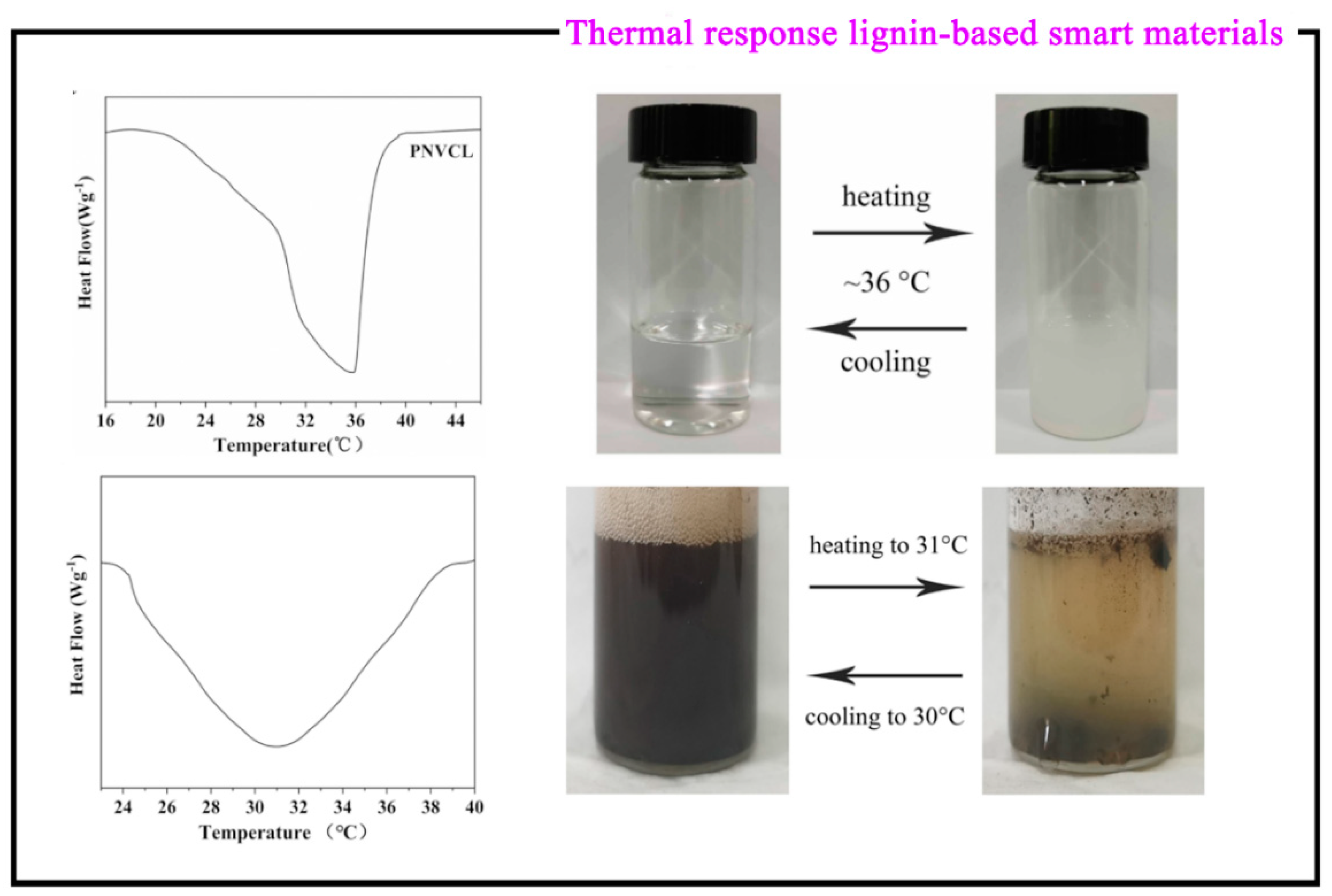 Polymers 15 03372 g008