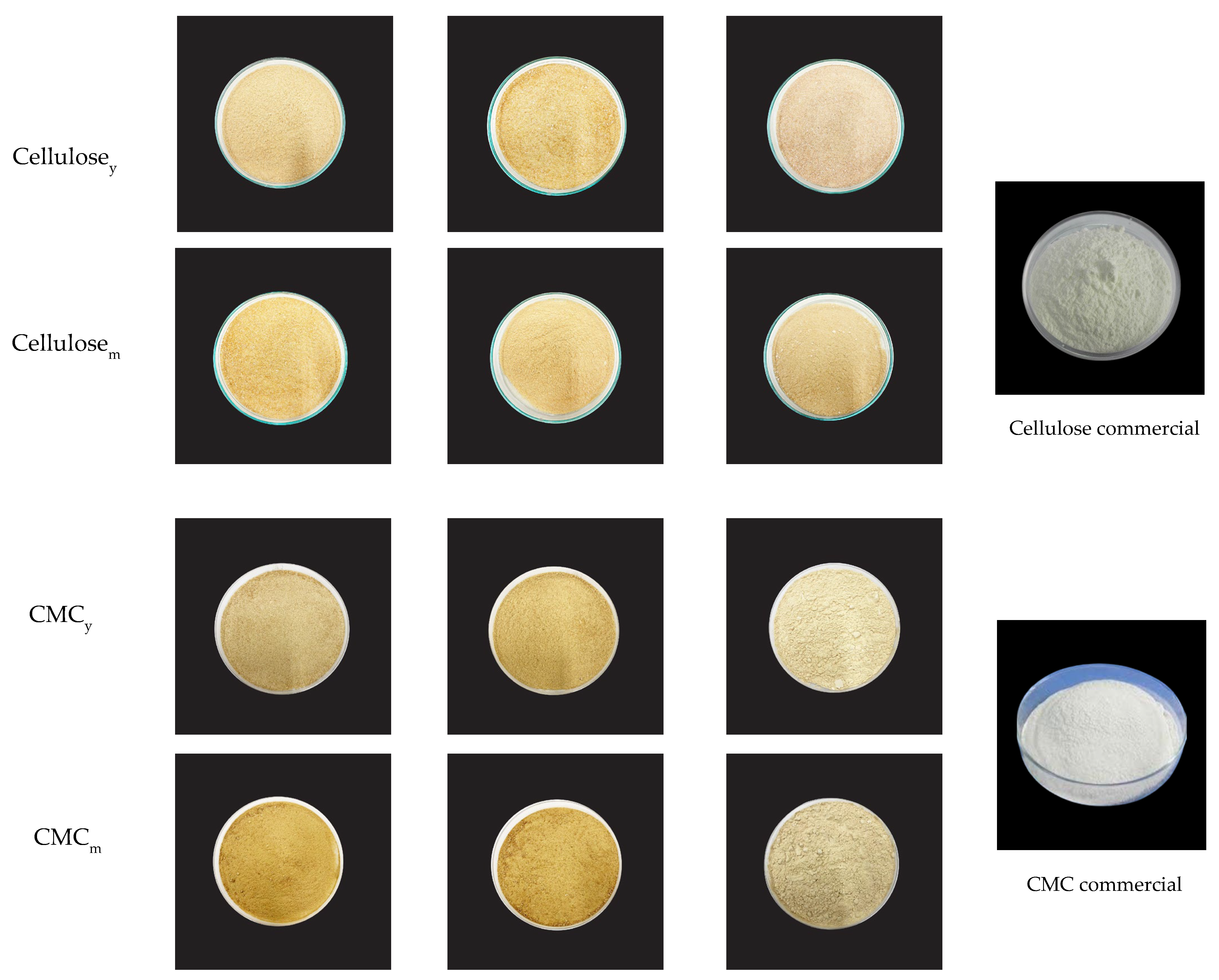 Polymers 15 03376 g002 Polymers 15 03376 g002