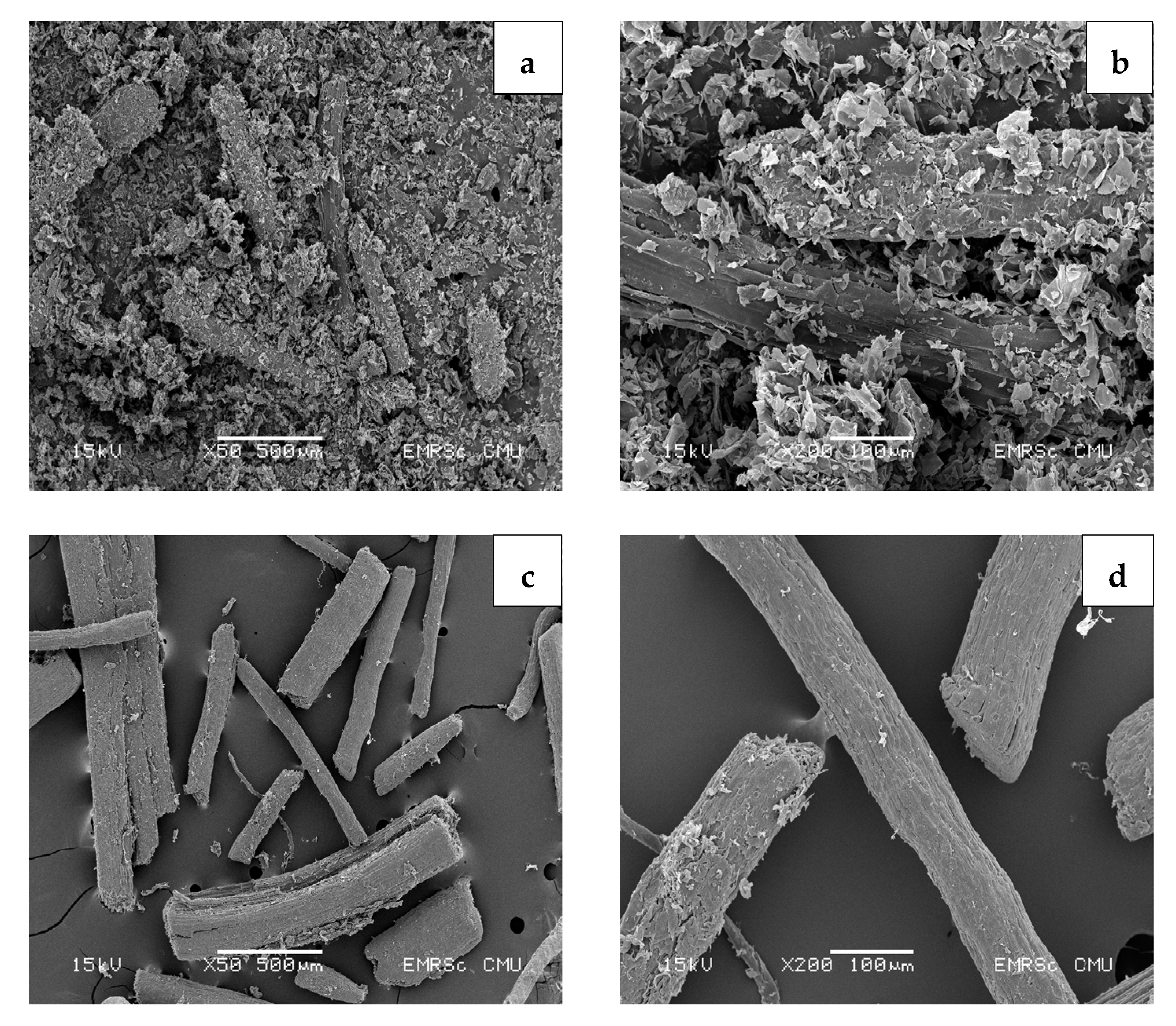 Polymers 15 03376 g005 Polymers 15 03376 g005