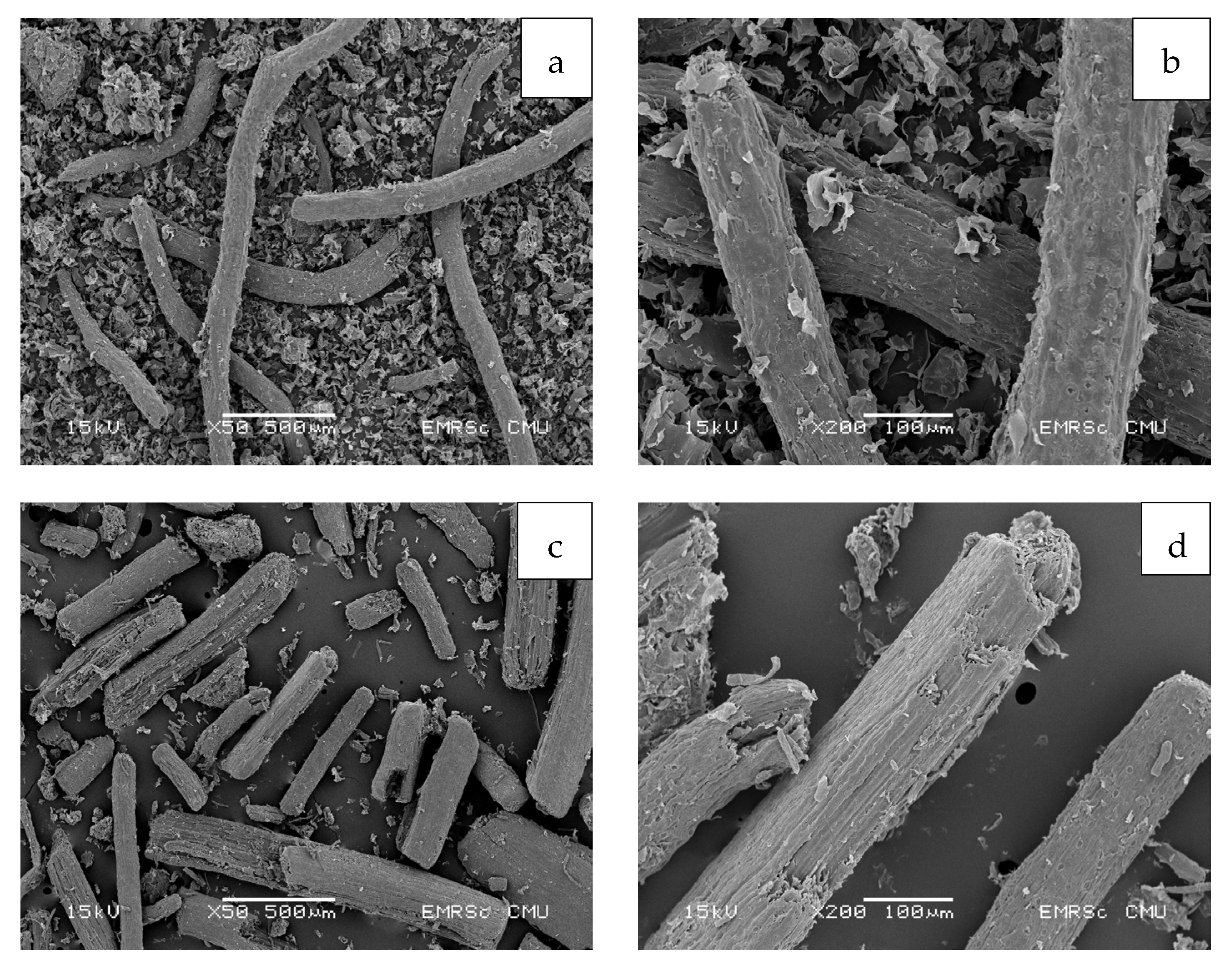 Polymers 15 03376 g006 Polymers 15 03376 g006