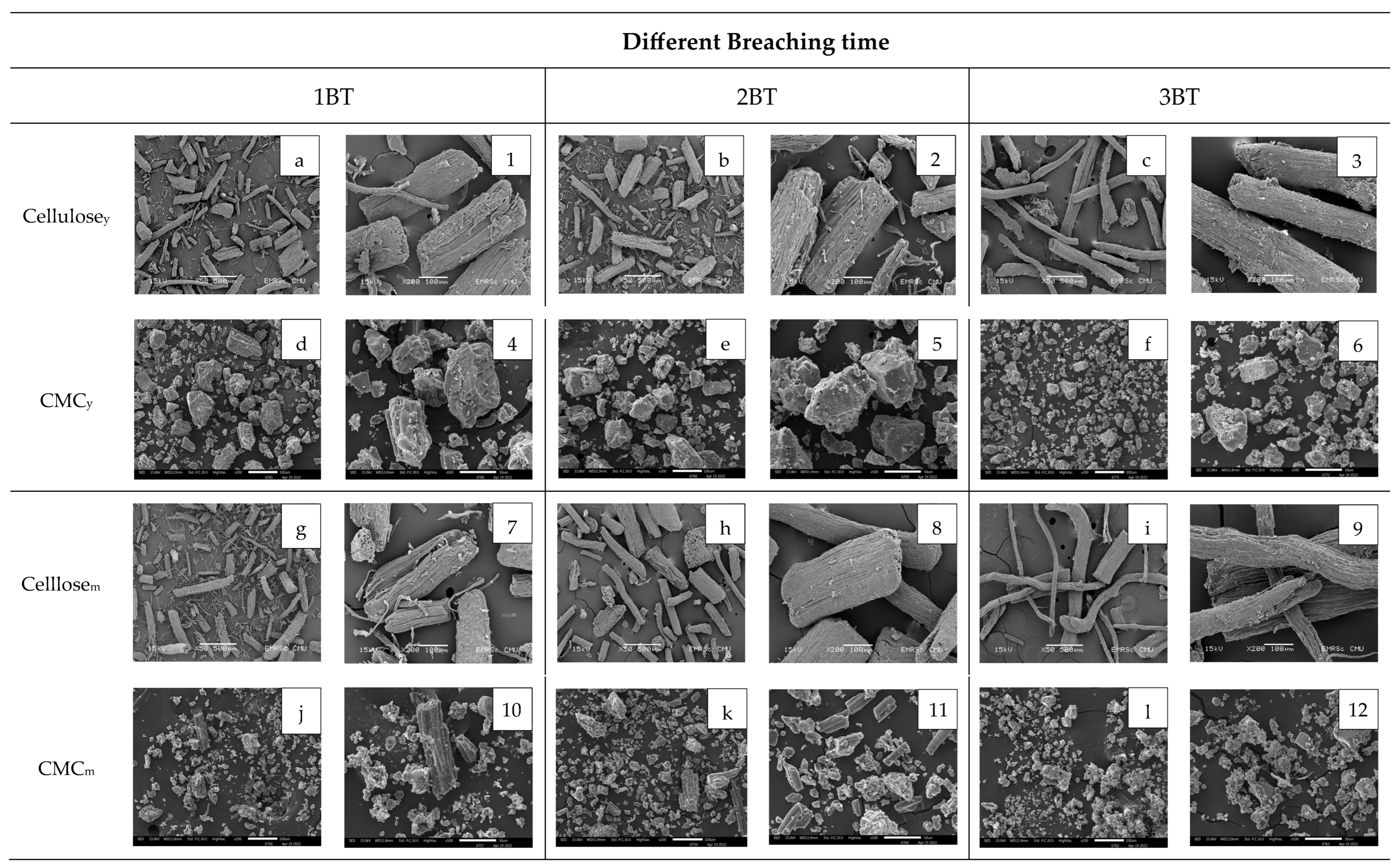 Polymers 15 03376 g007 Polymers 15 03376 g007