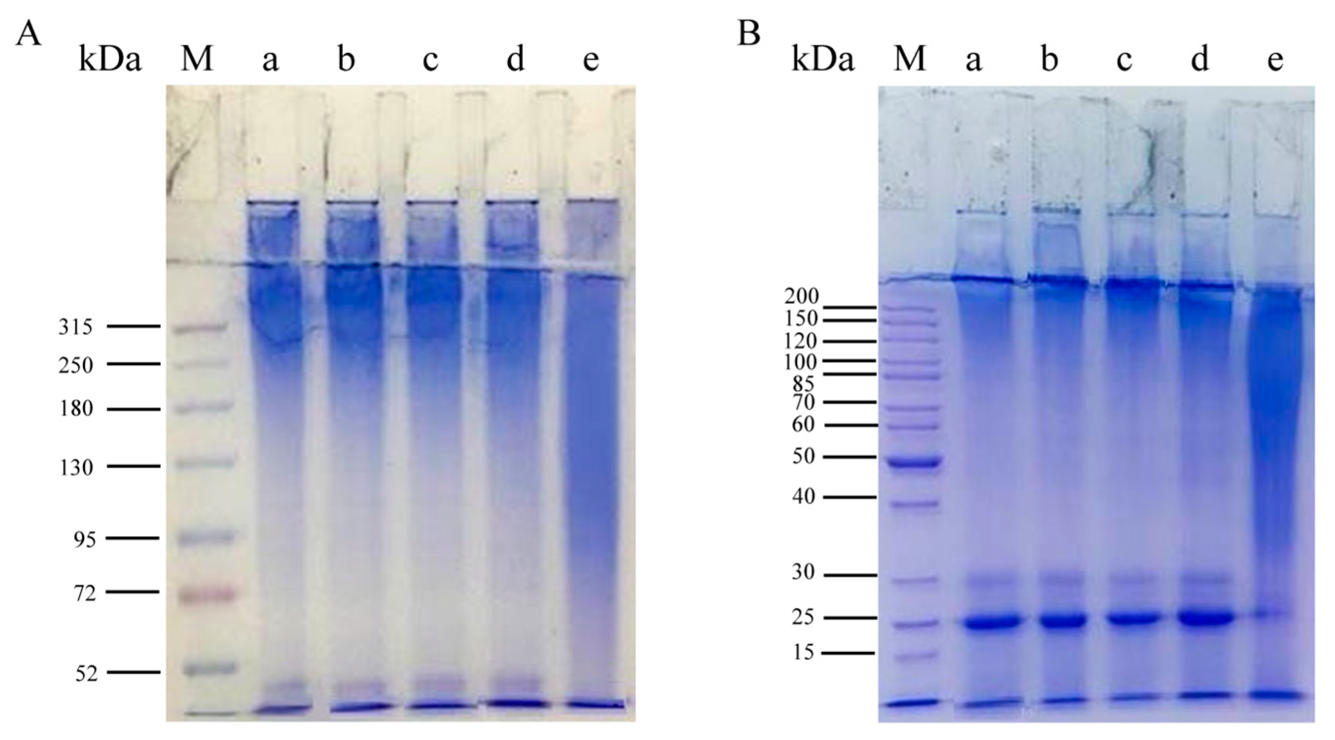 Polymers 15 03383 g004