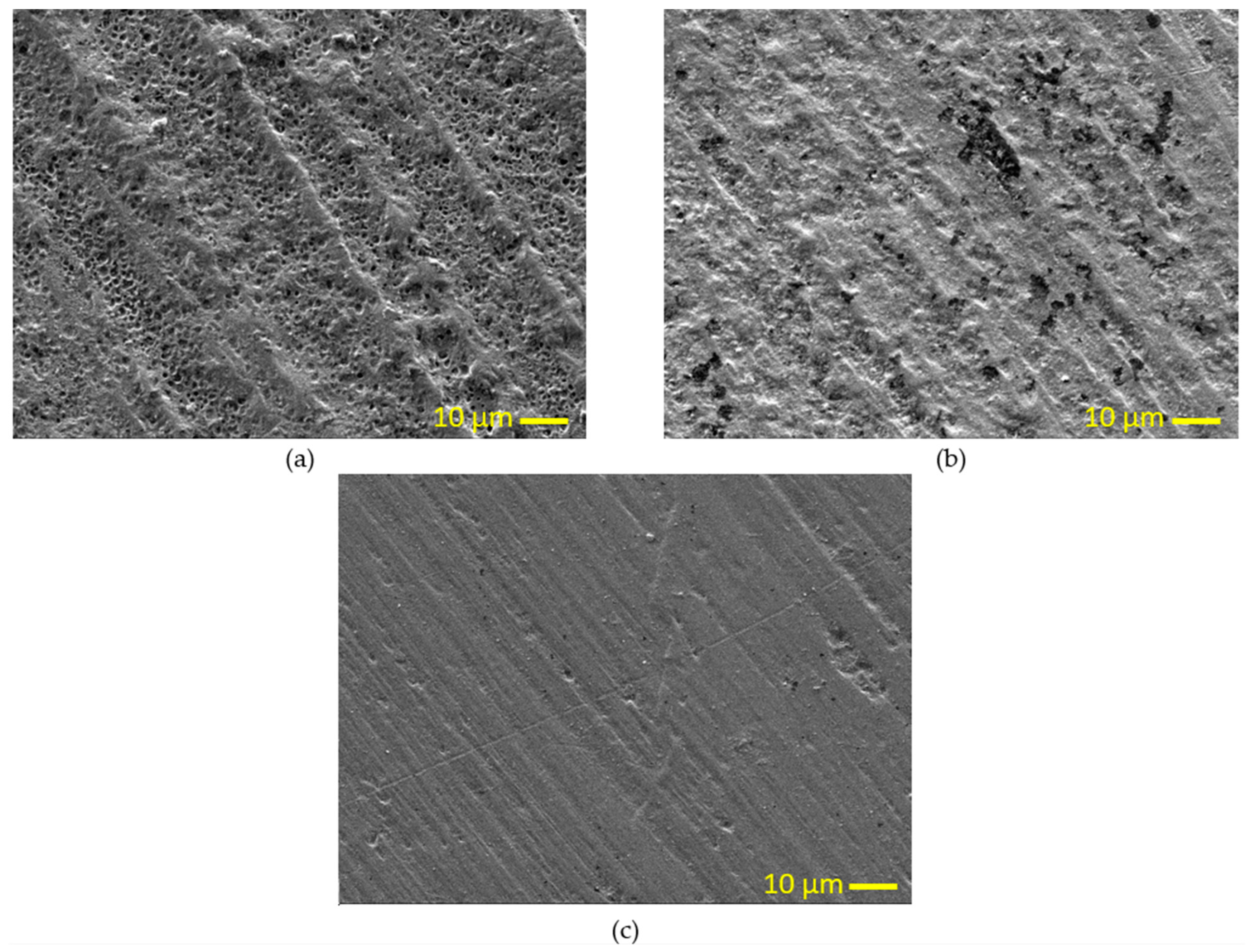 Polymers 15 03395 g006