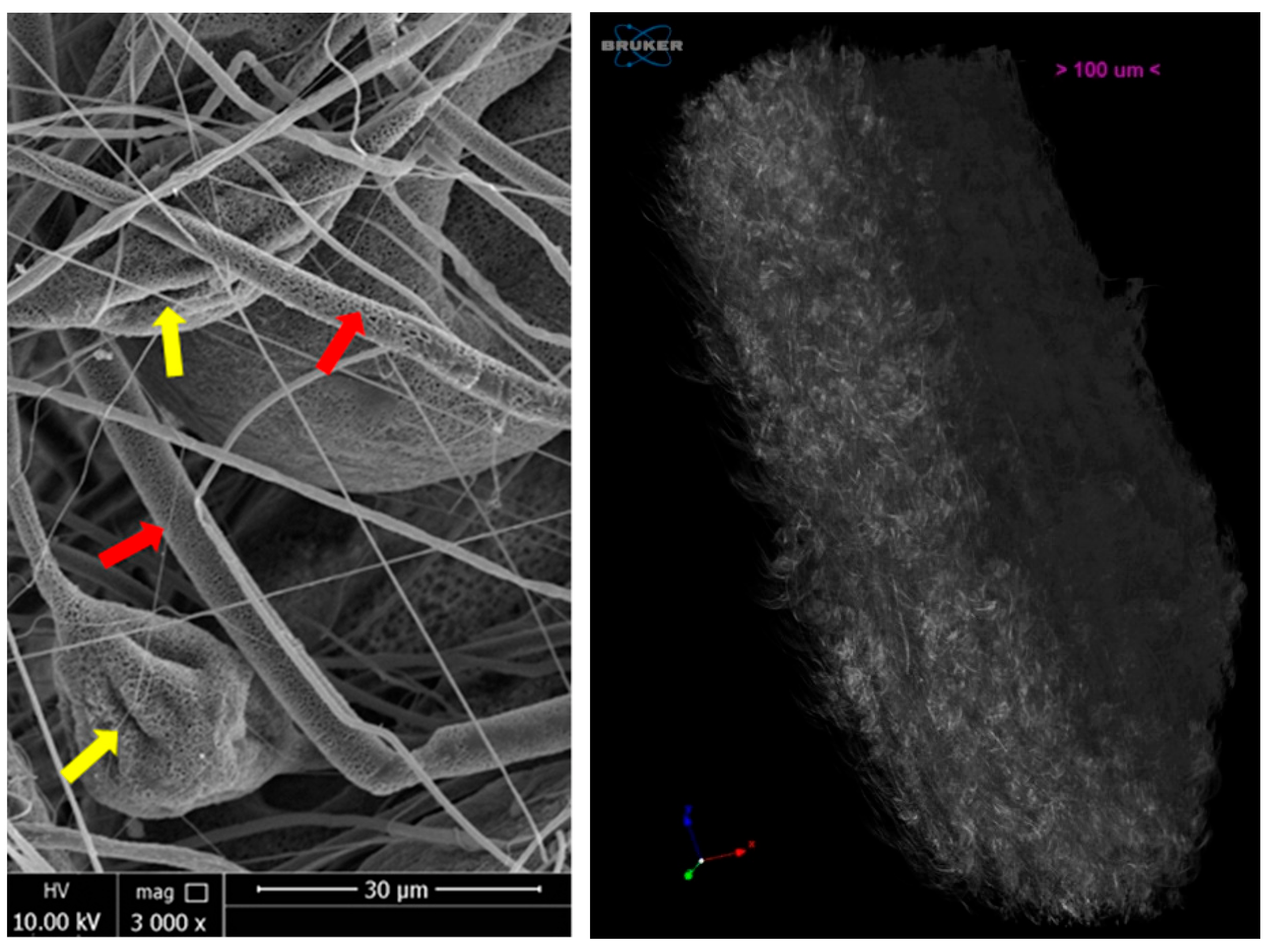 Polymers 15 03398 g001