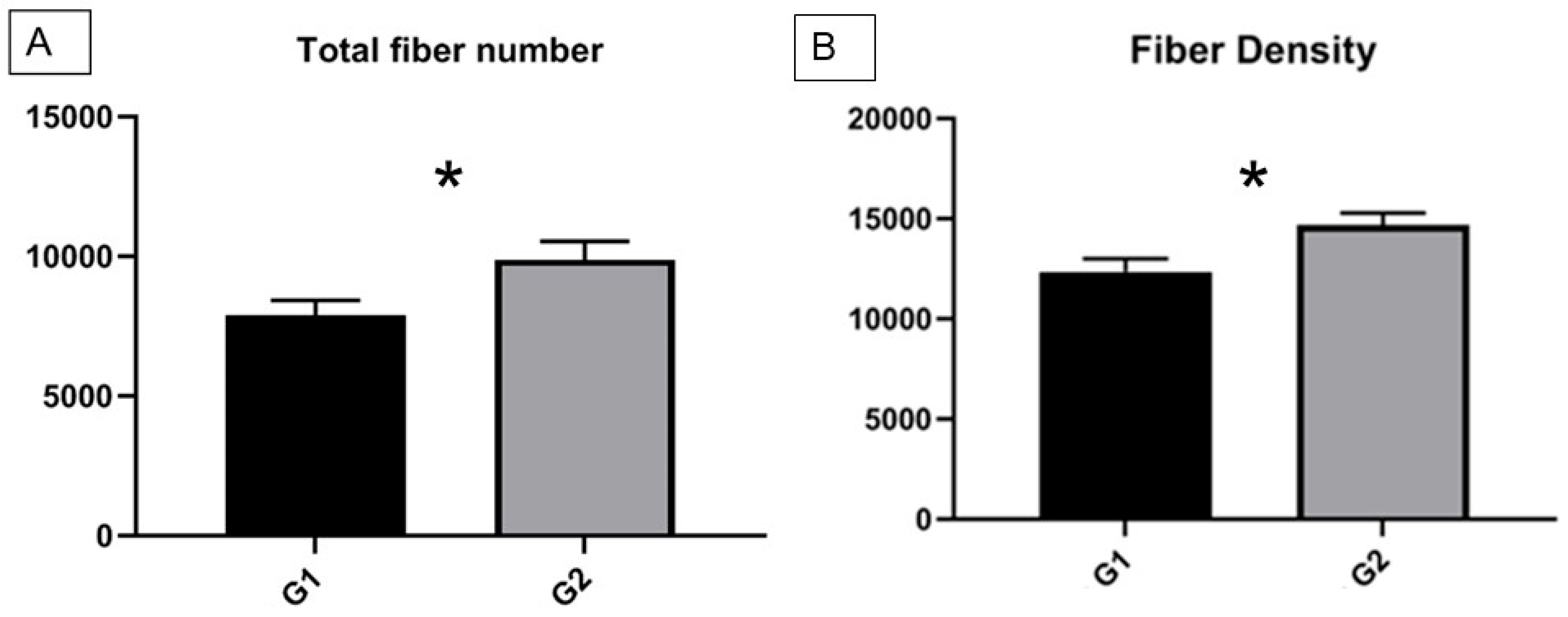 Polymers 15 03398 g004