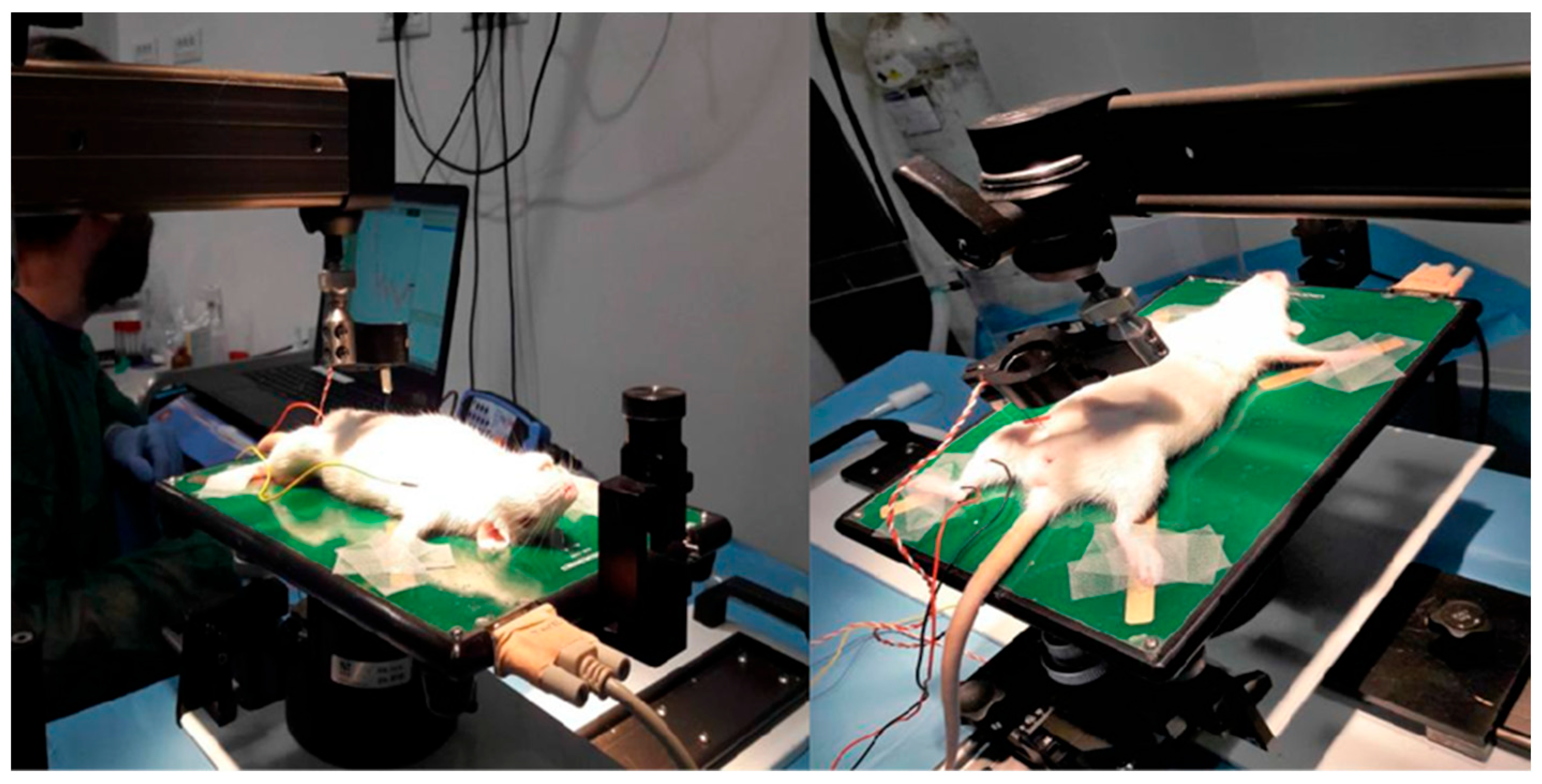 Polymers 15 03398 g005