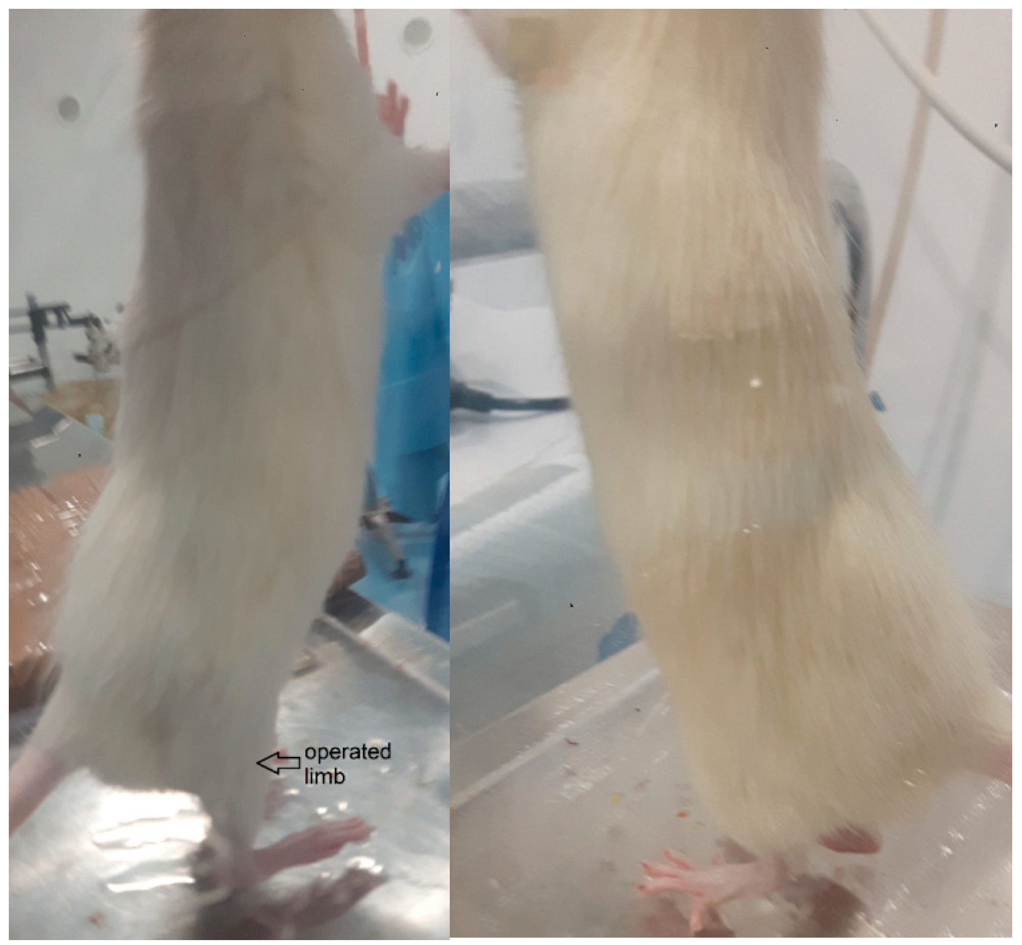 Polymers 15 03398 g009