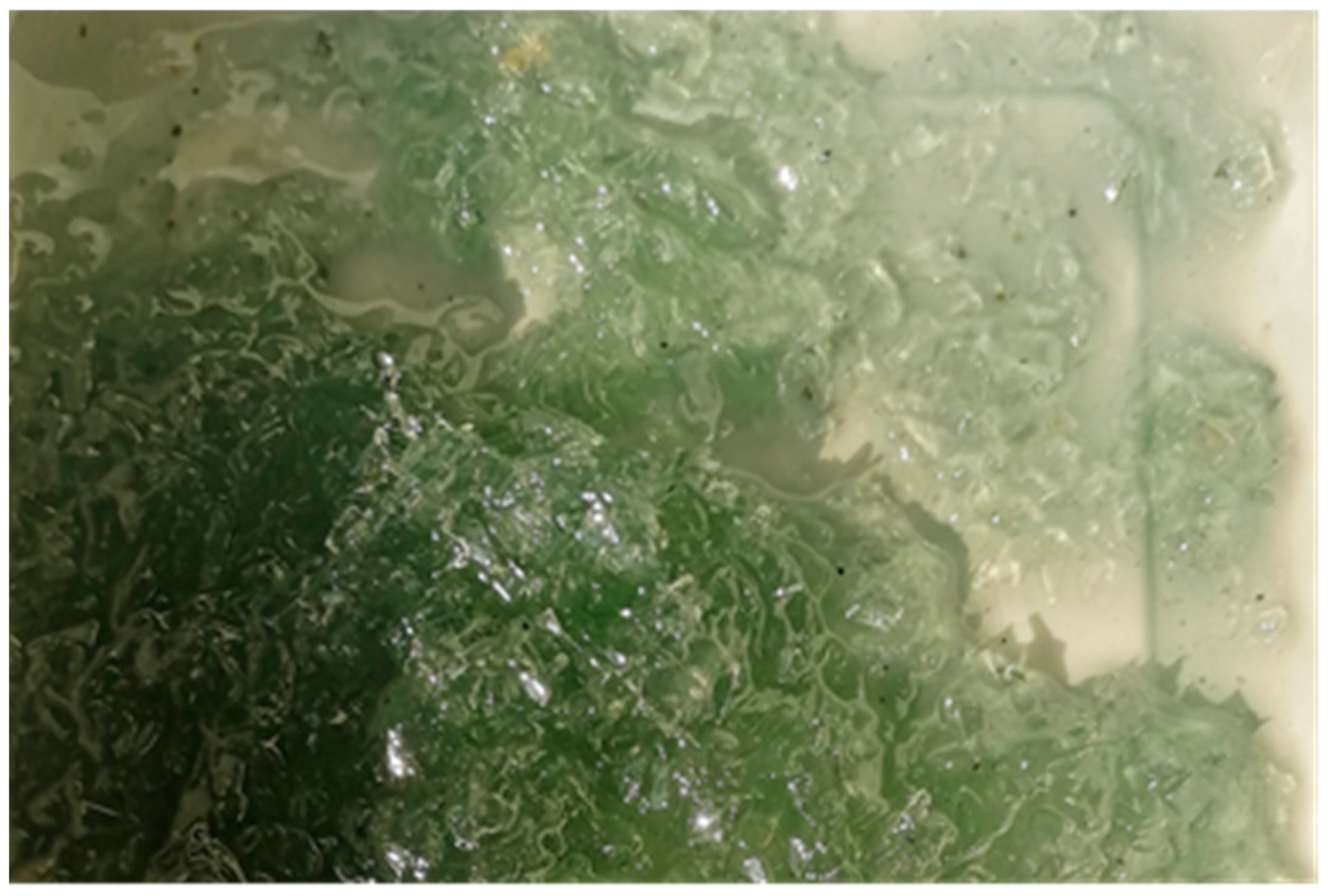 Polymers 15 03407 g011