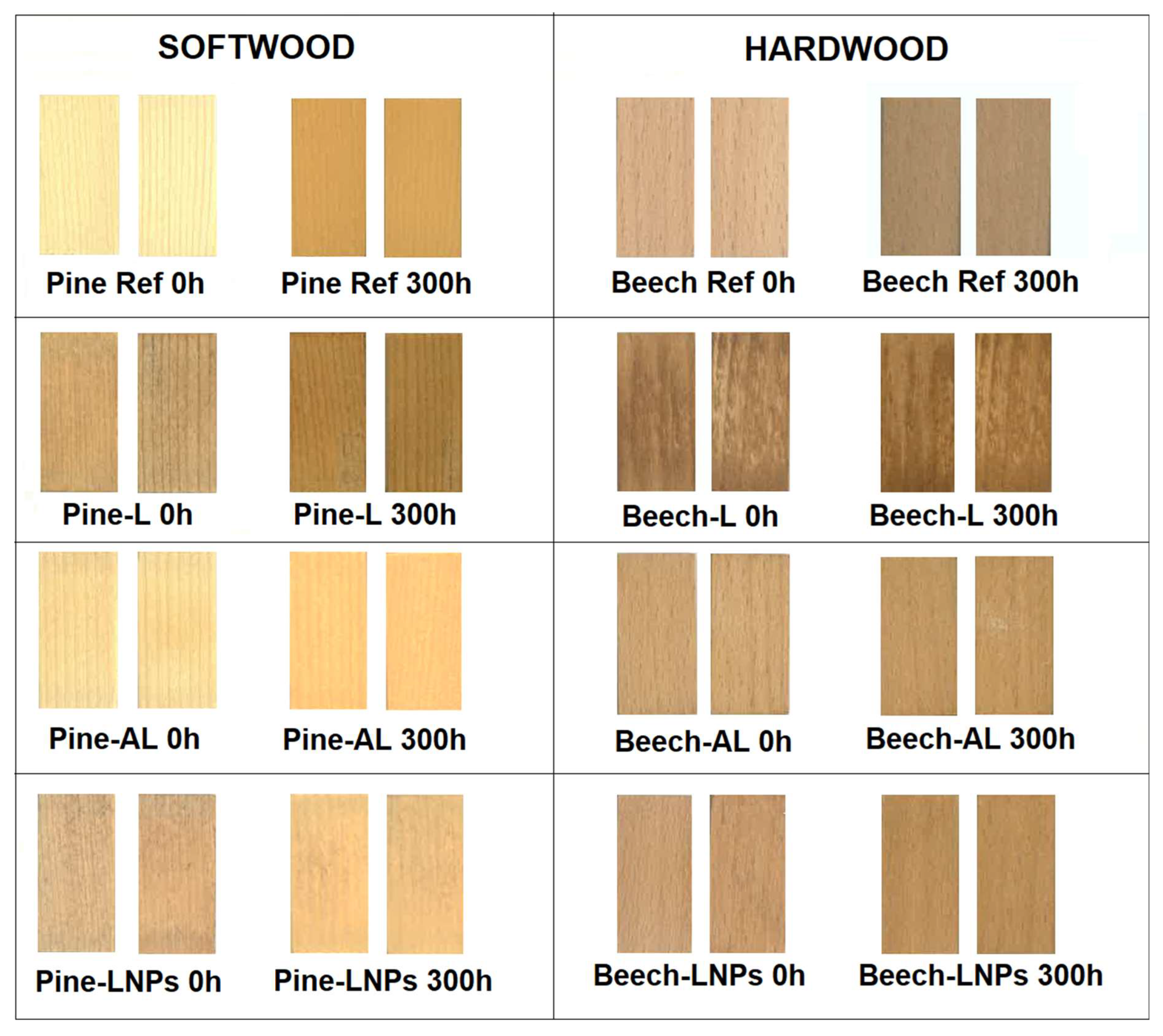 Polymers 15 03409 g003