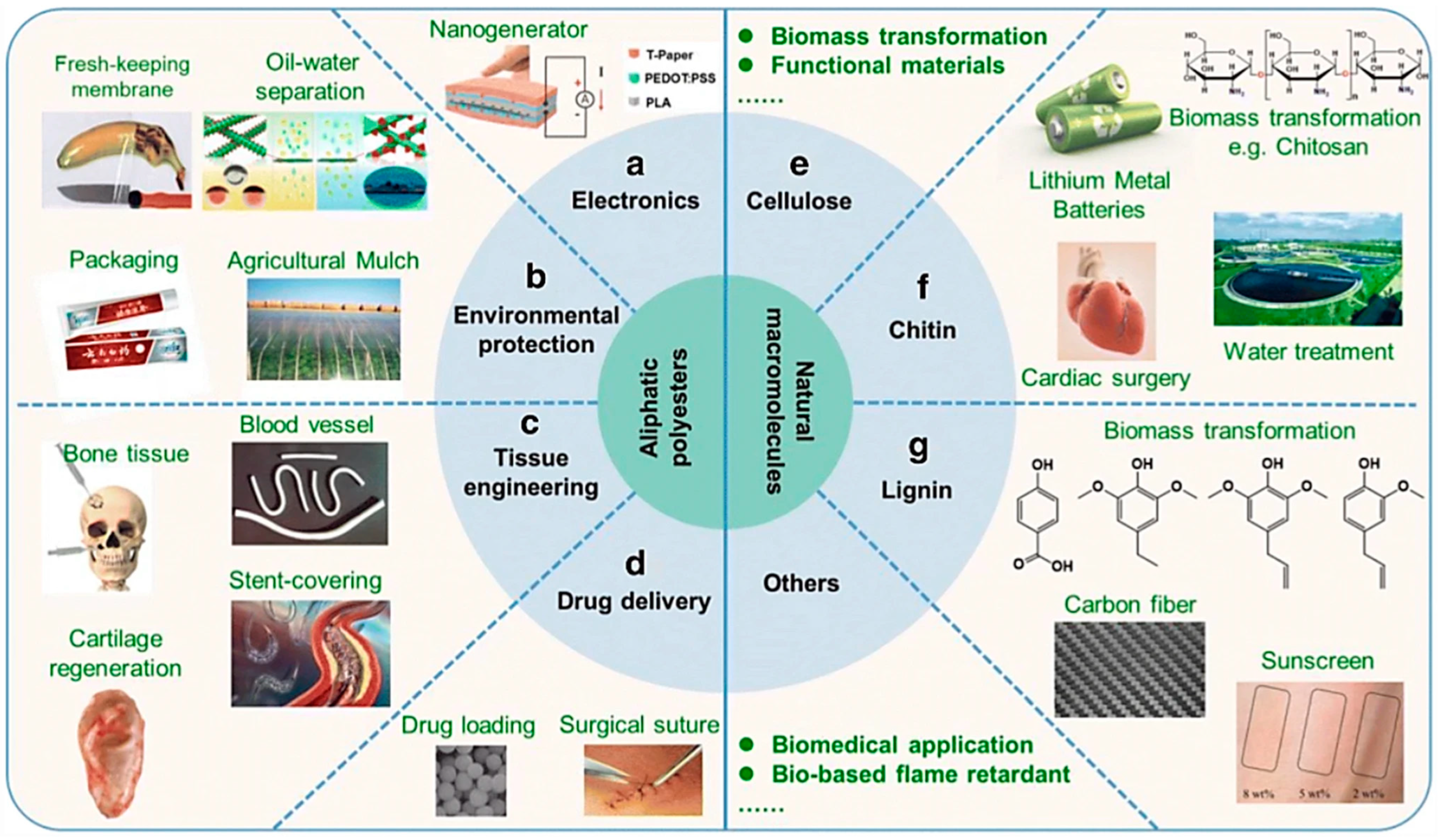 Polymers 15 03443 g007