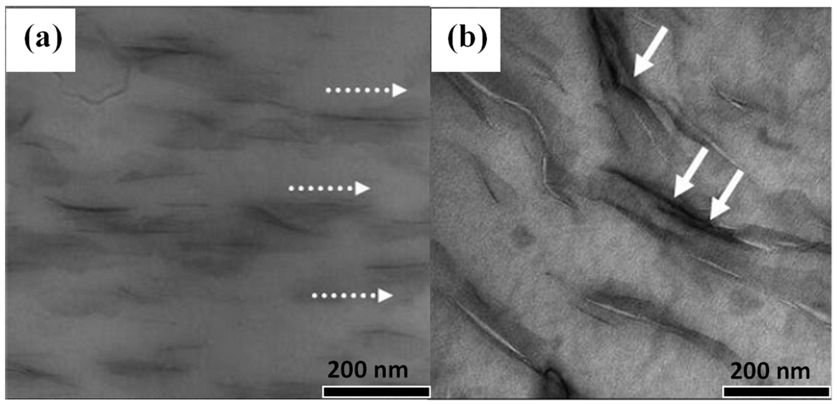Polymers 15 03443 g009
