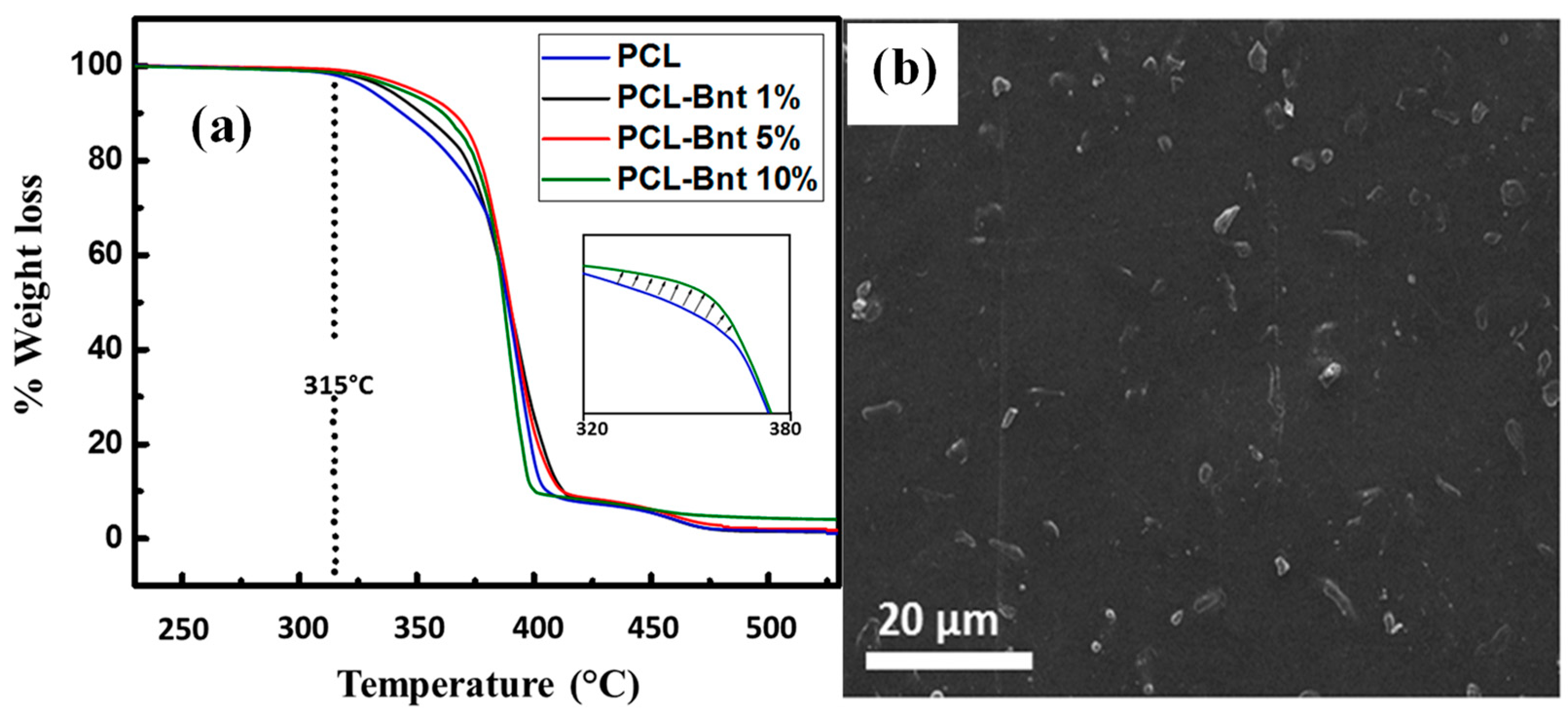 Polymers 15 03443 g012