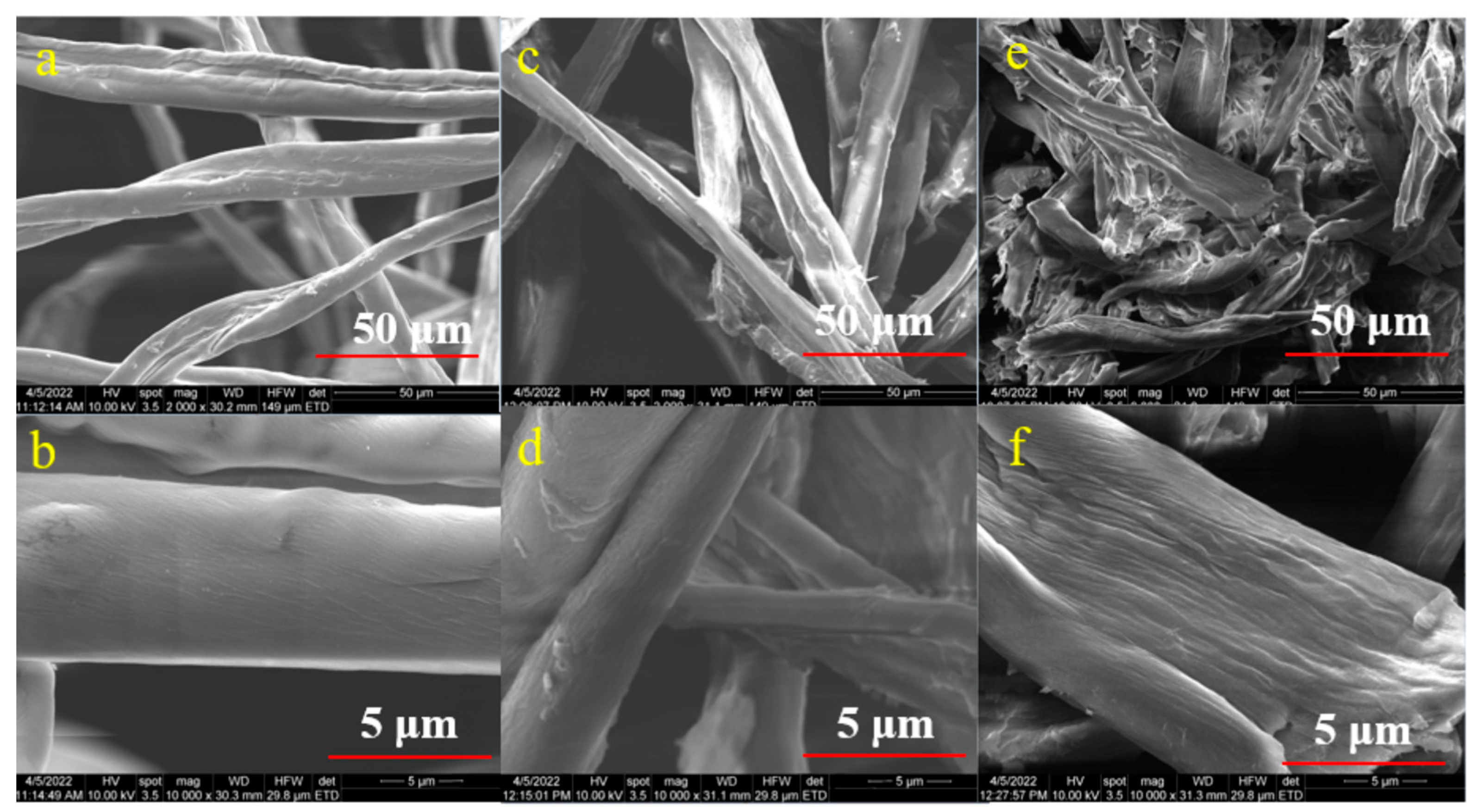 Polymers 15 03446 g006