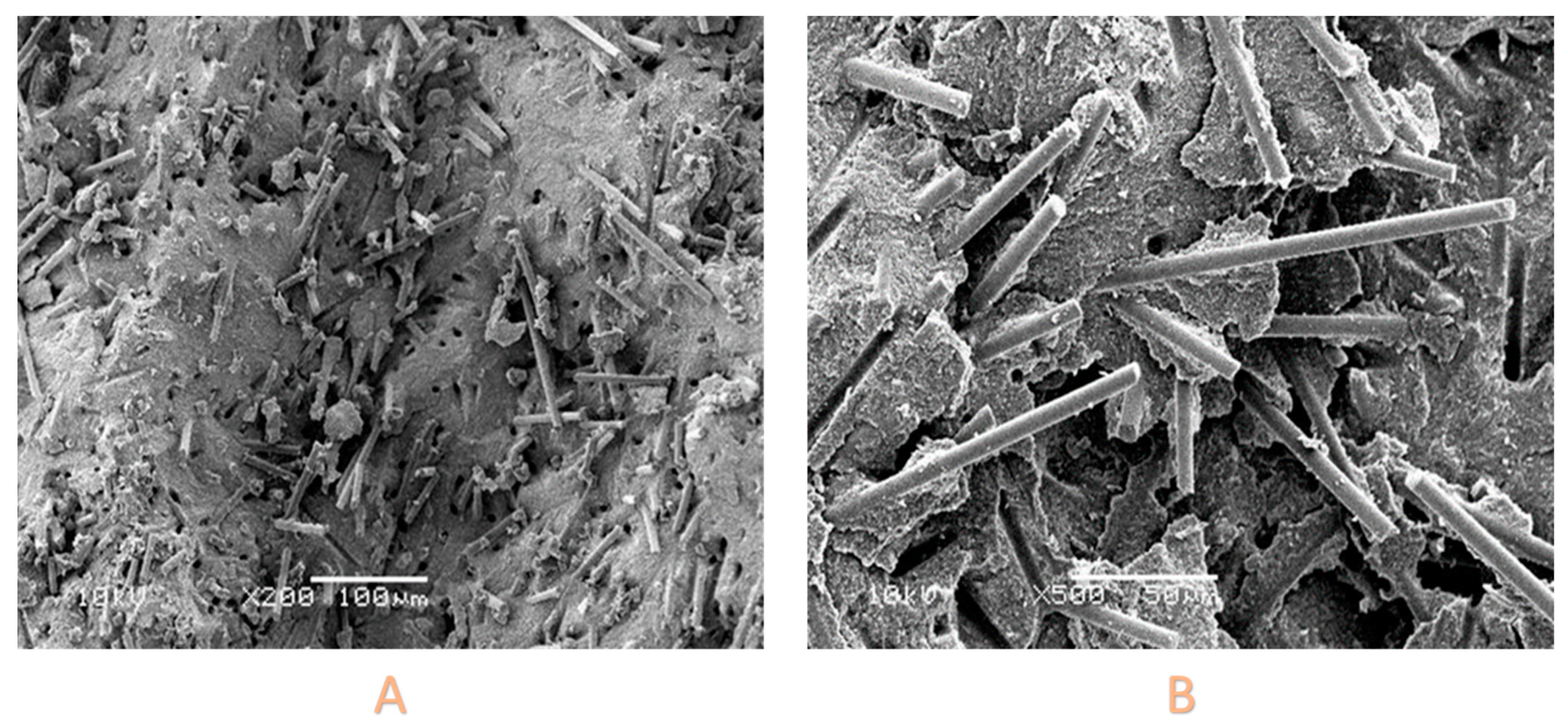 Polymers 15 03452 g002
