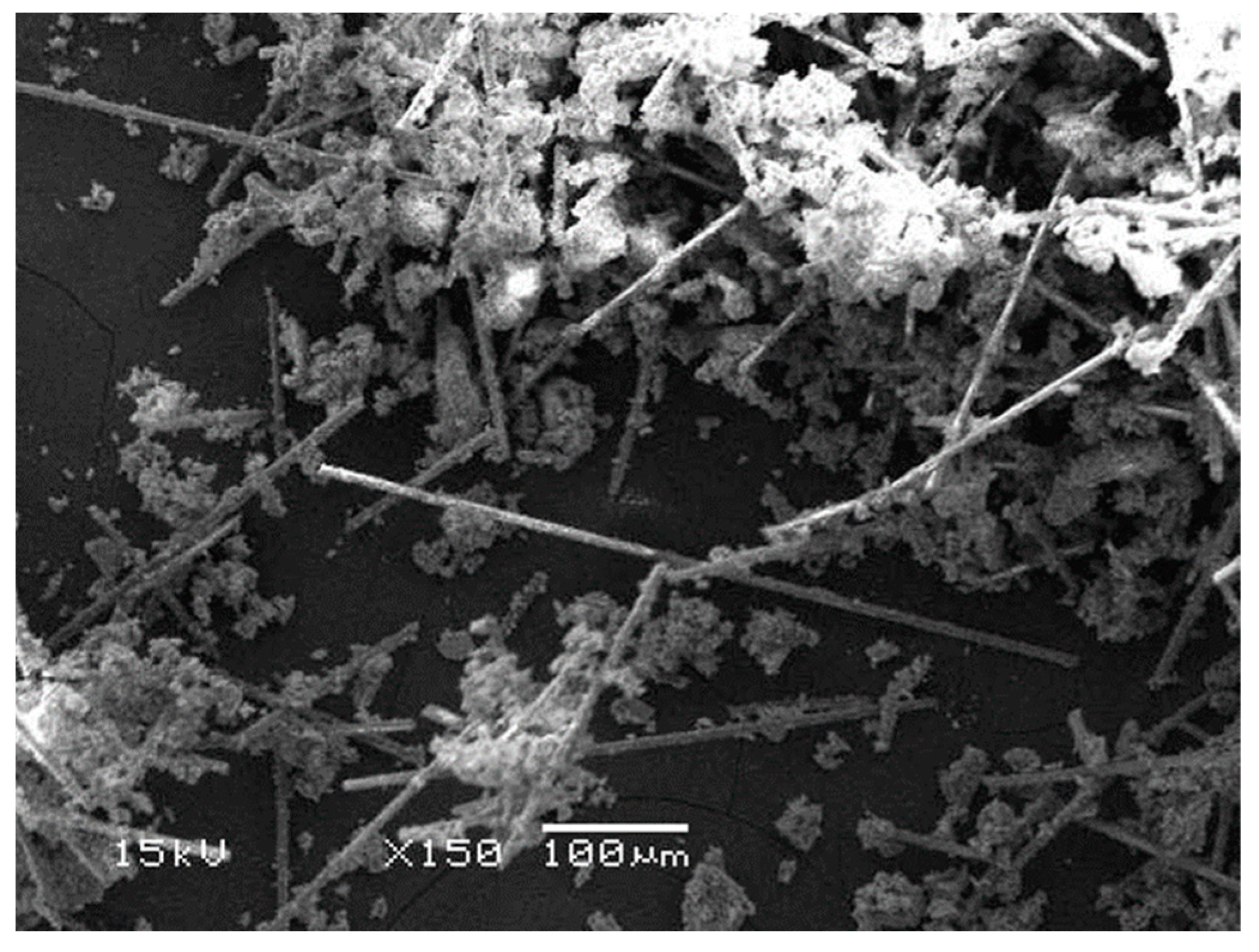 Polymers 15 03452 g003