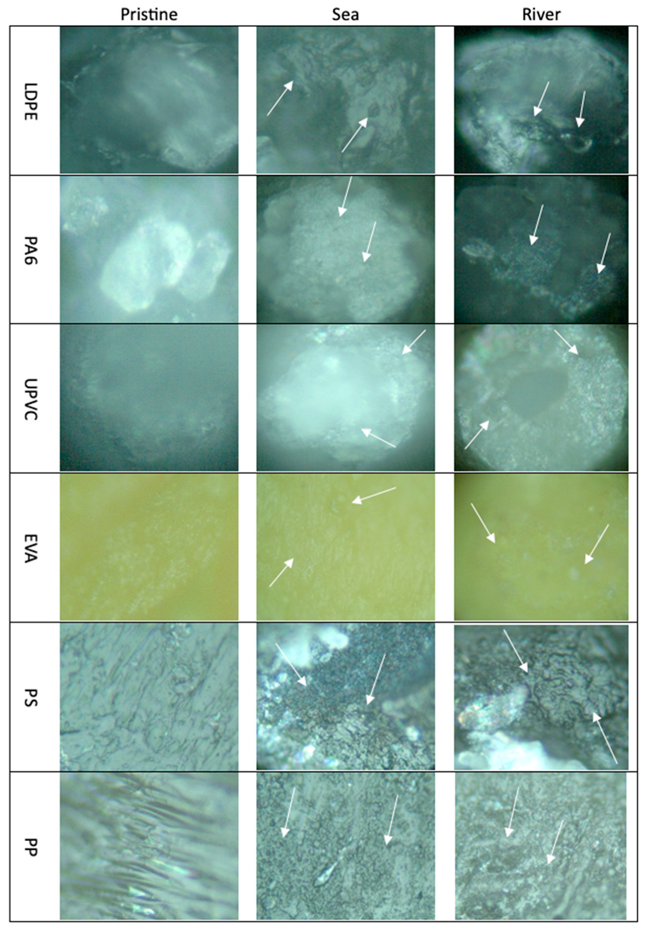 Polymers 15 03468 g001