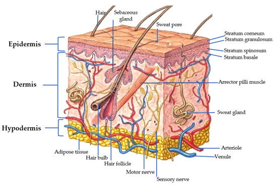 Polymers 15 03473 g002