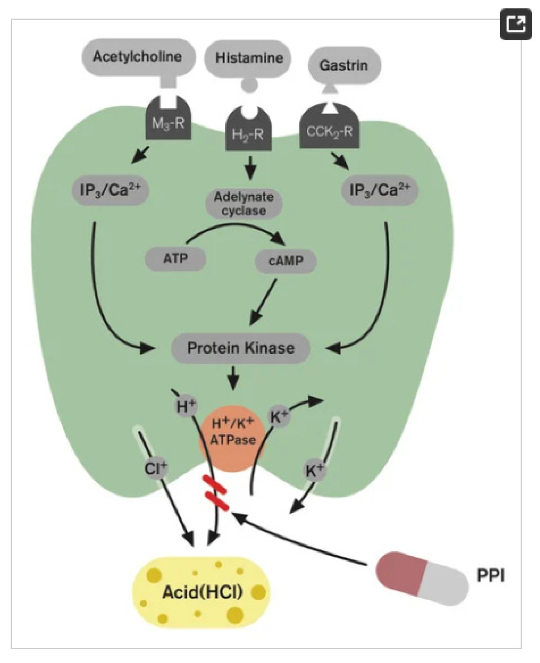 Polymers 15 03485 g002