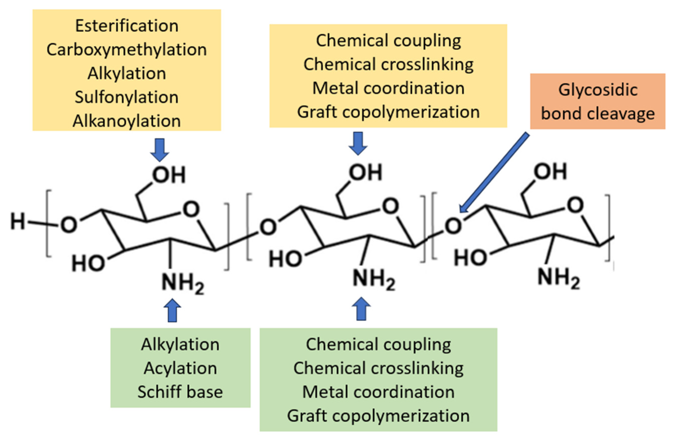 Polymers 15 03485 g004