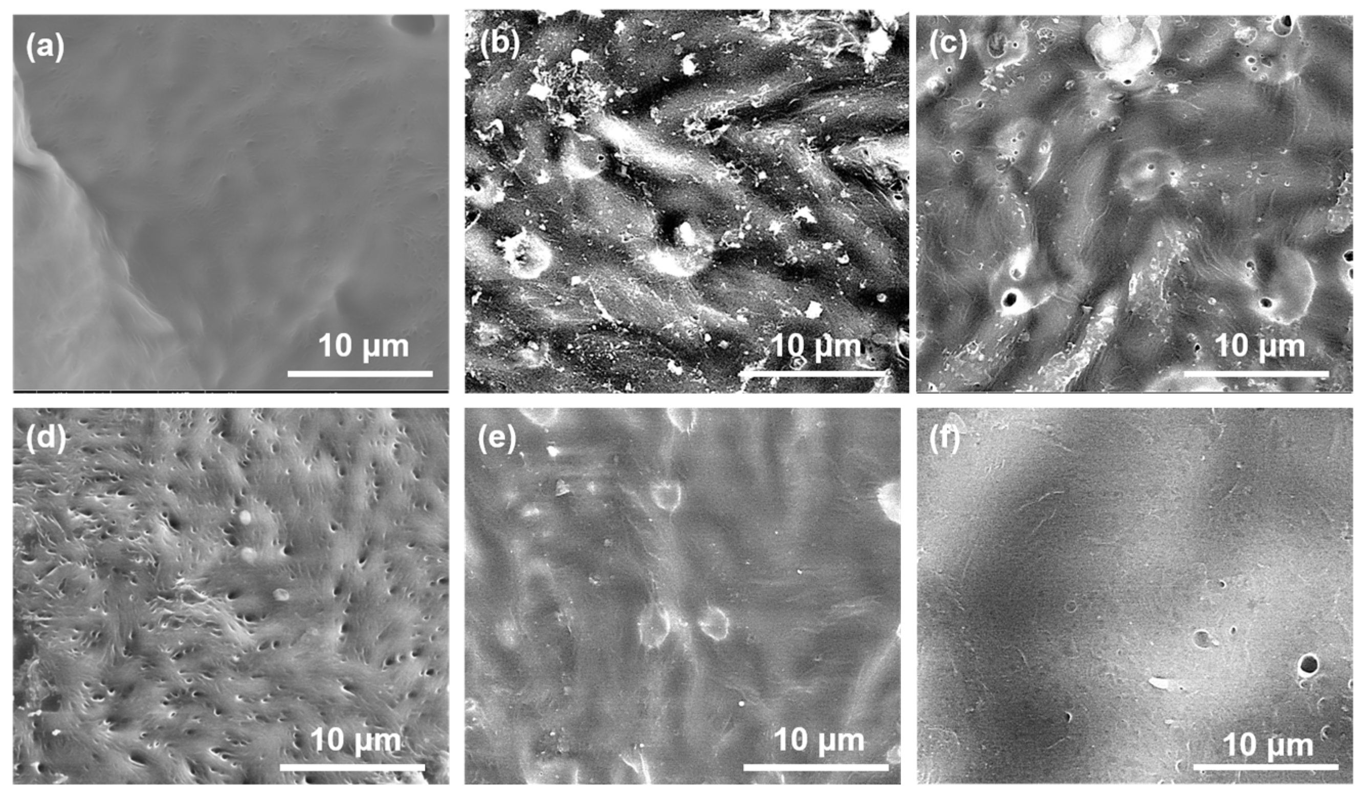 Polymers 15 03497 g003
