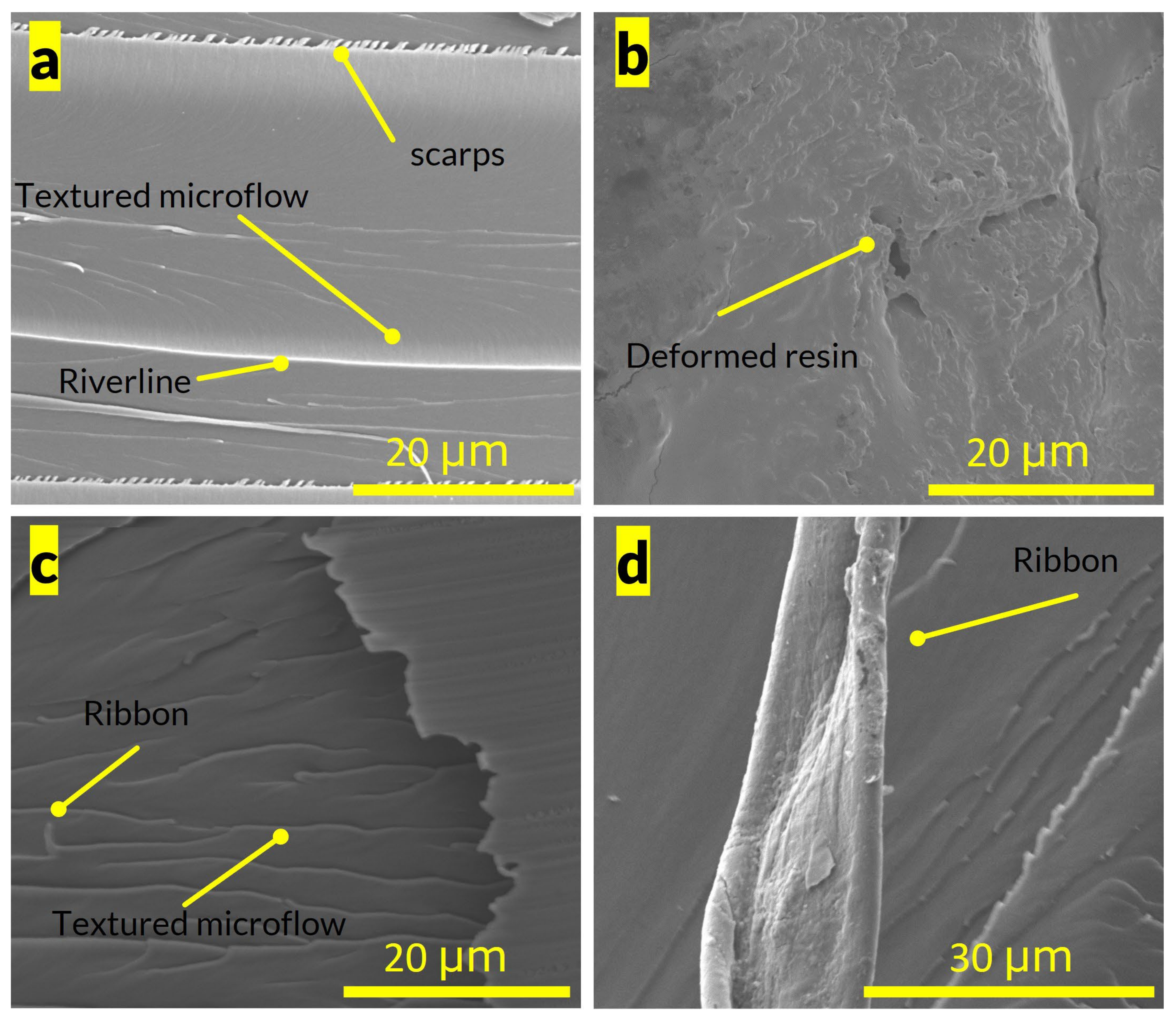 Polymers 15 03501 g005
