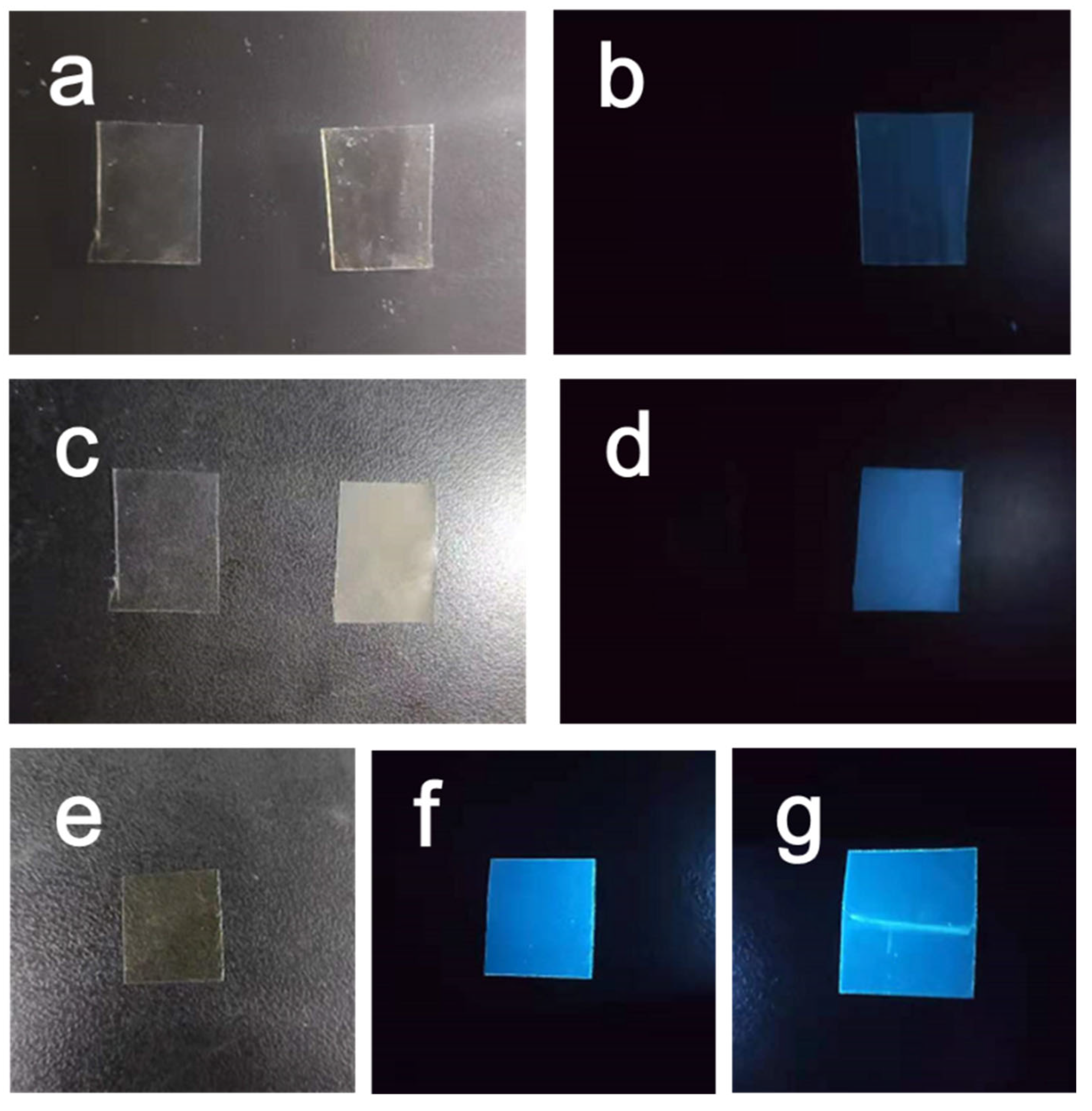 Polymers 15 03506 g009