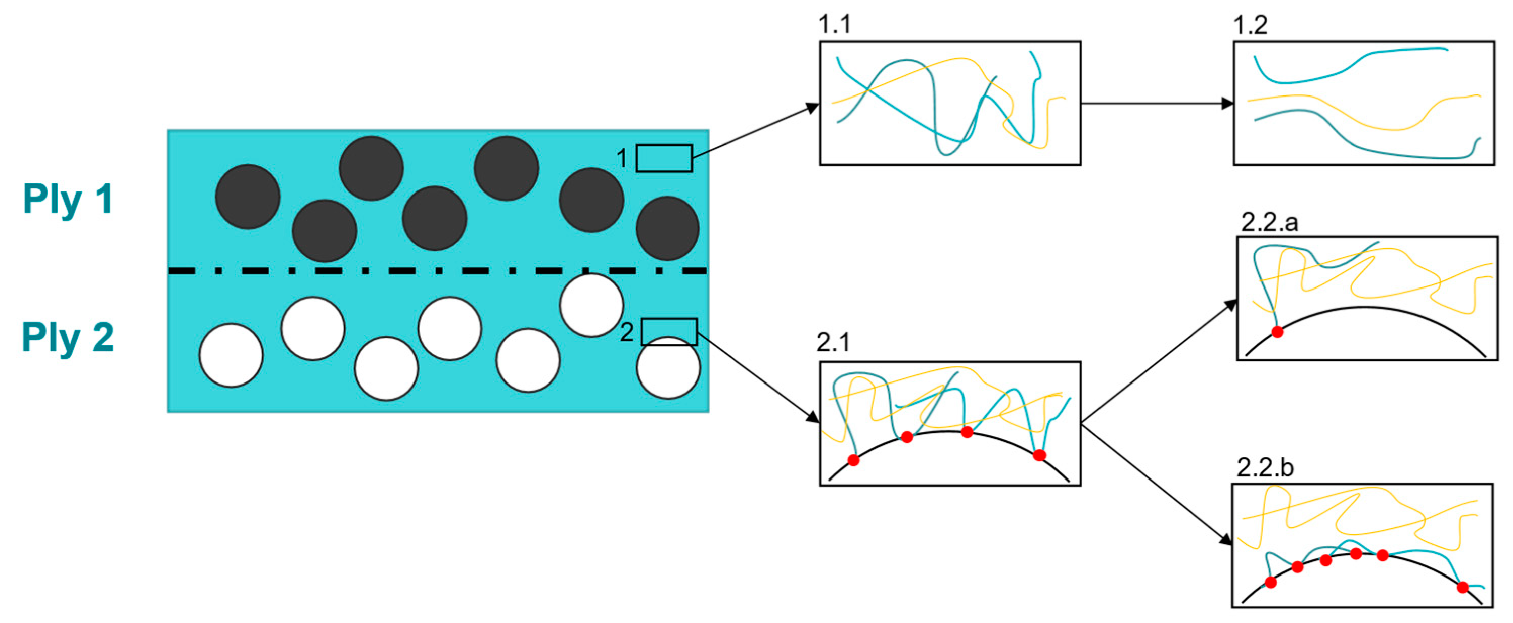 Polymers 15 03520 g002