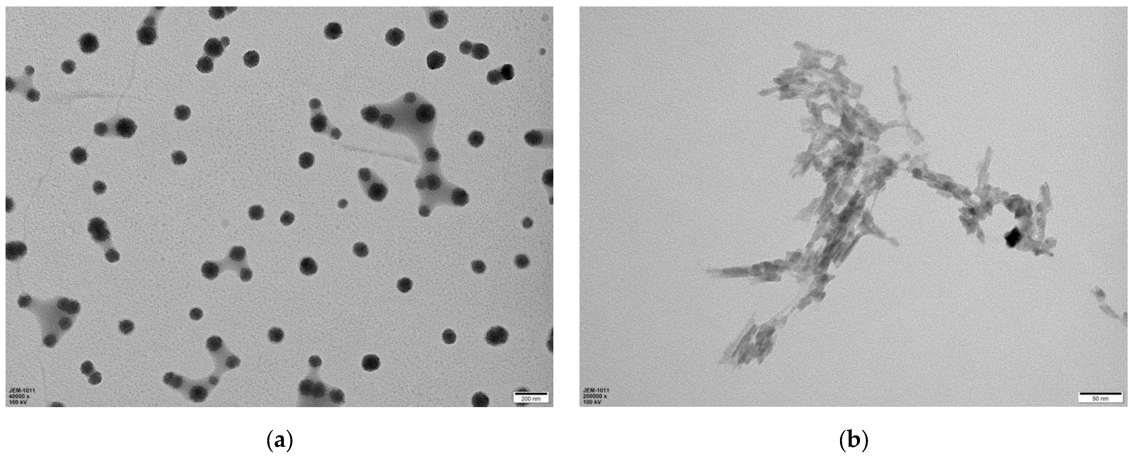 Polymers 15 03528 g001